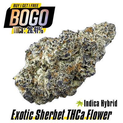 BOGO Bulk: Buy HP get QP🌿Exotic Sherbet - Valley Hemp