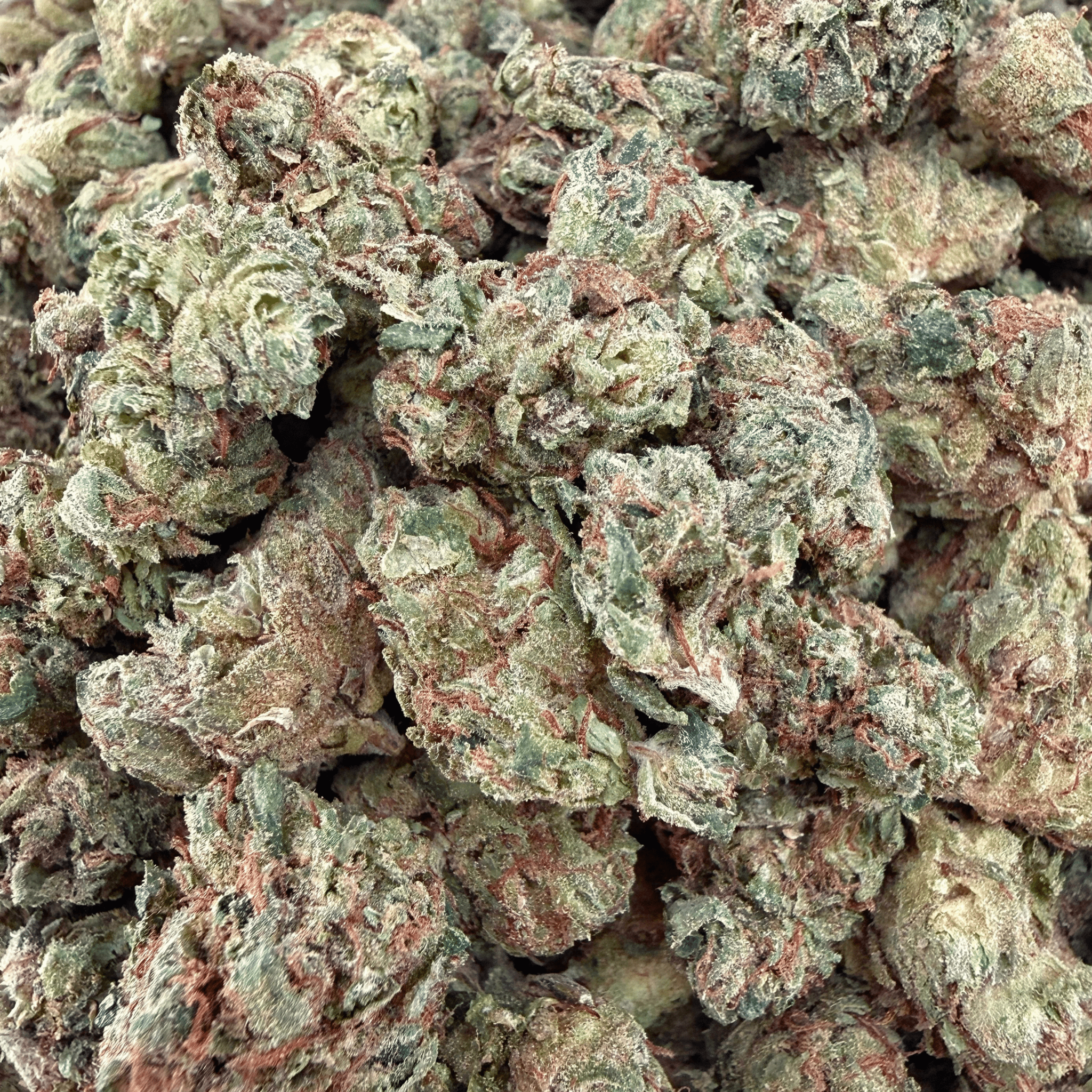 BOGO Buy 14G get 14G🌿Jelly Runtz THCa Smalls - Valley Hemp