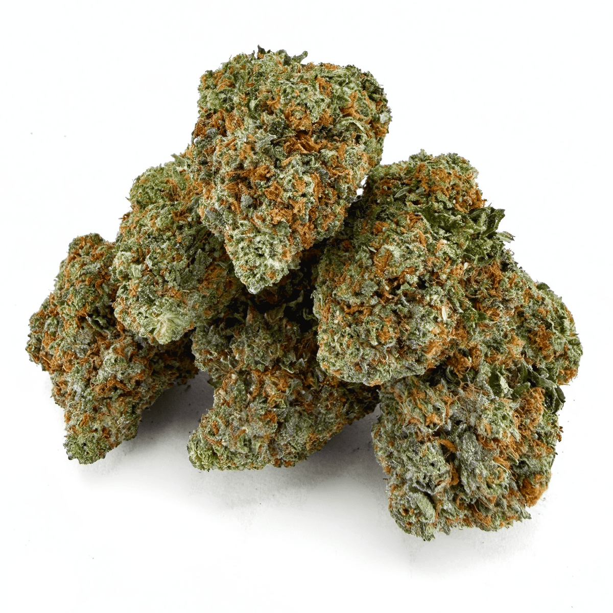 Gelato 41