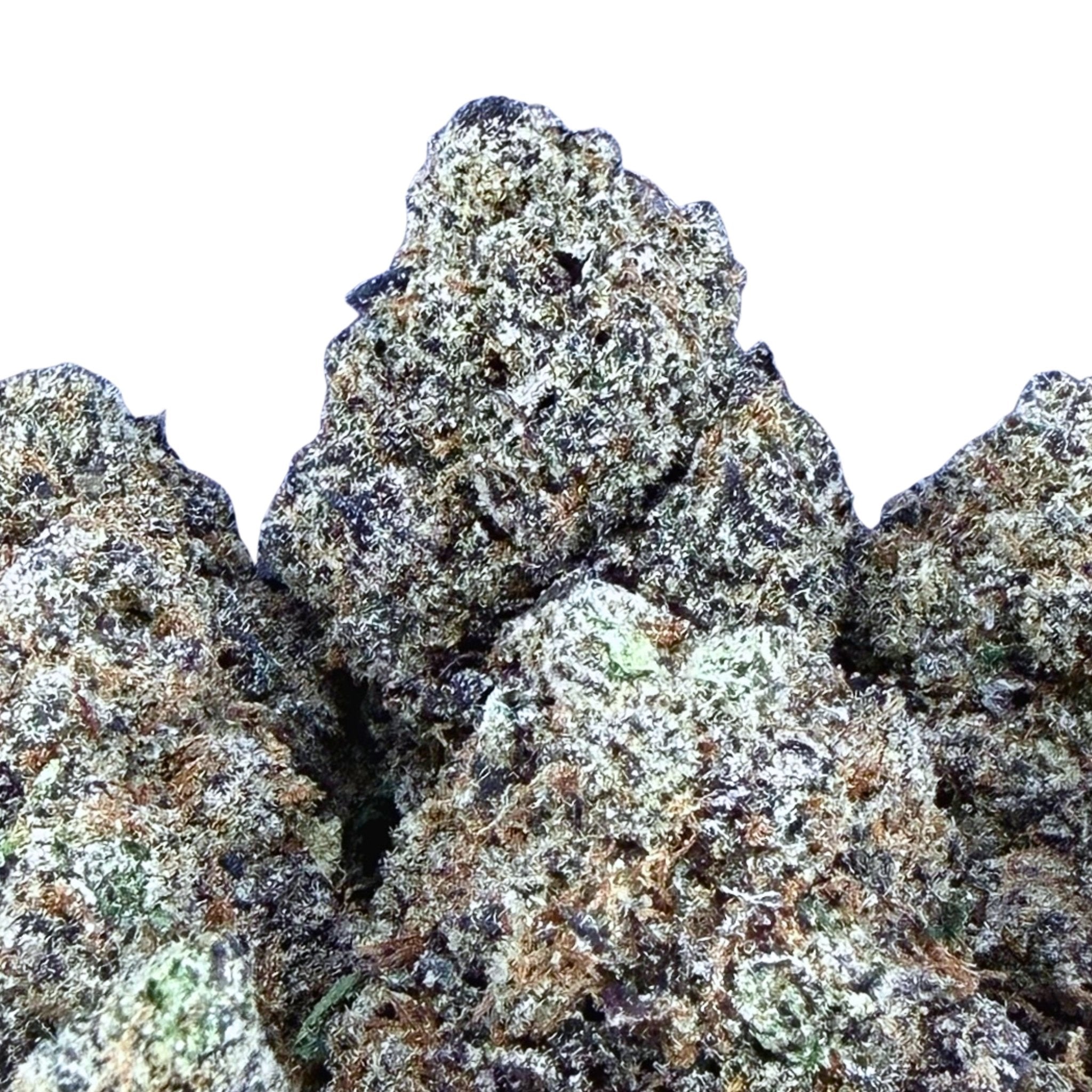 (BOGO HP Wholesale) Exotic Bubblegum - Indica Hybrid - Valley Hemp