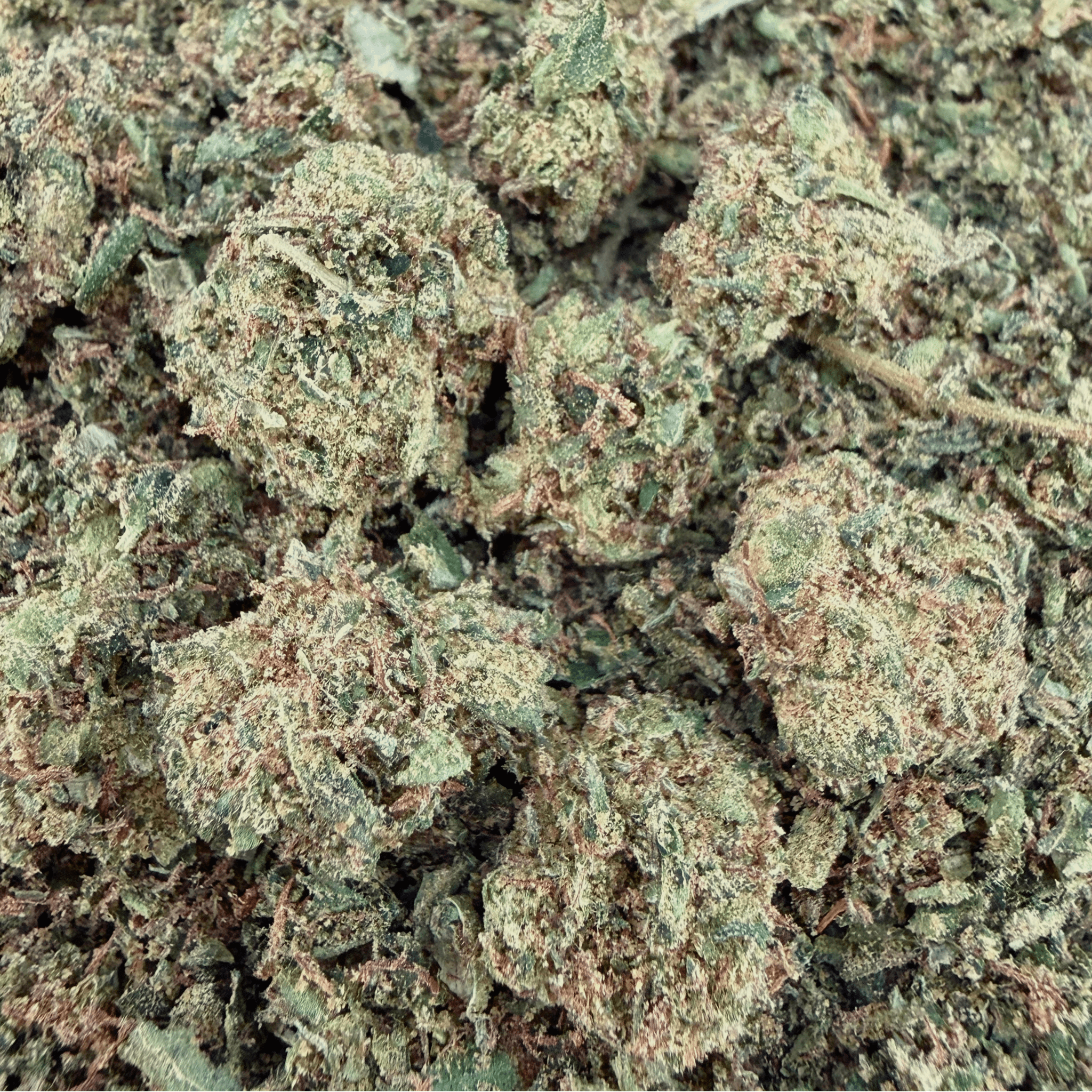 (BOGO Shake: buy 1oz get 2oz🍃) No3. Gelato 45 THCa Shake - Valley Hemp