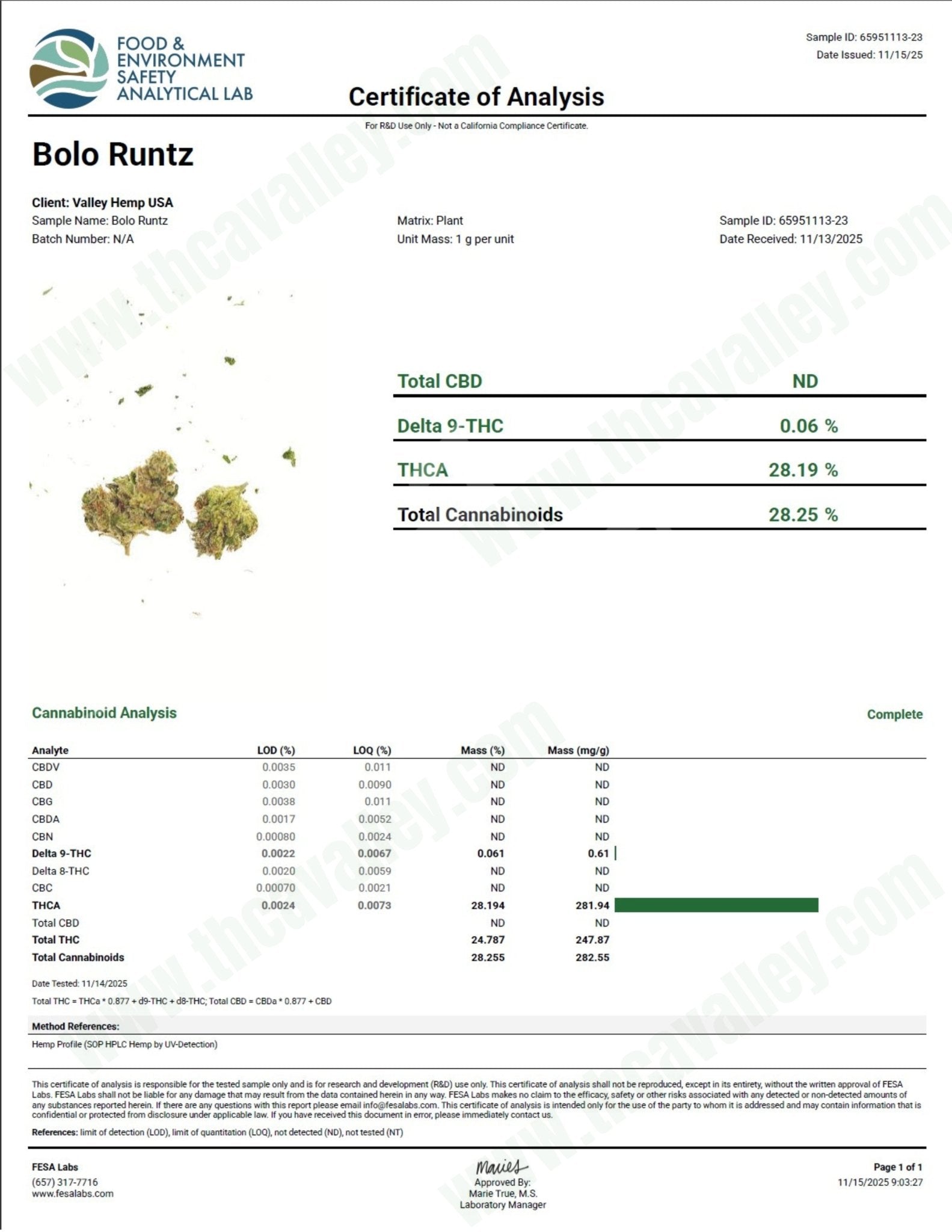 Bolo Runtz - Valley Hemp