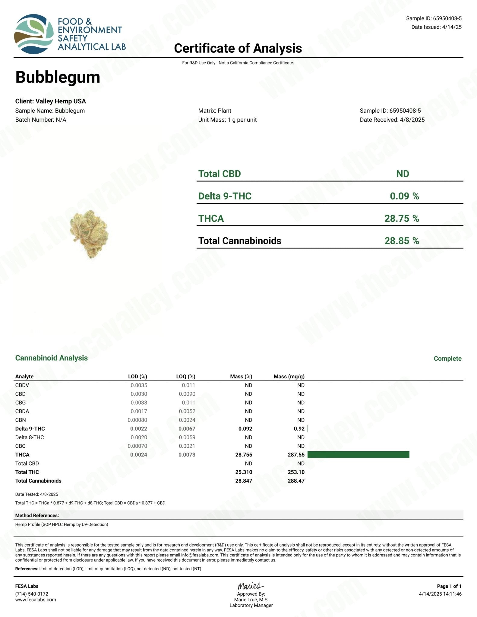 Bubblegum - Valley Hemp
