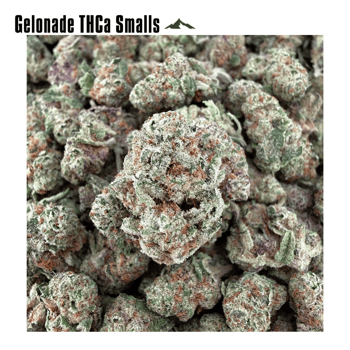 Budget Savings Bundle - Valley Hemp