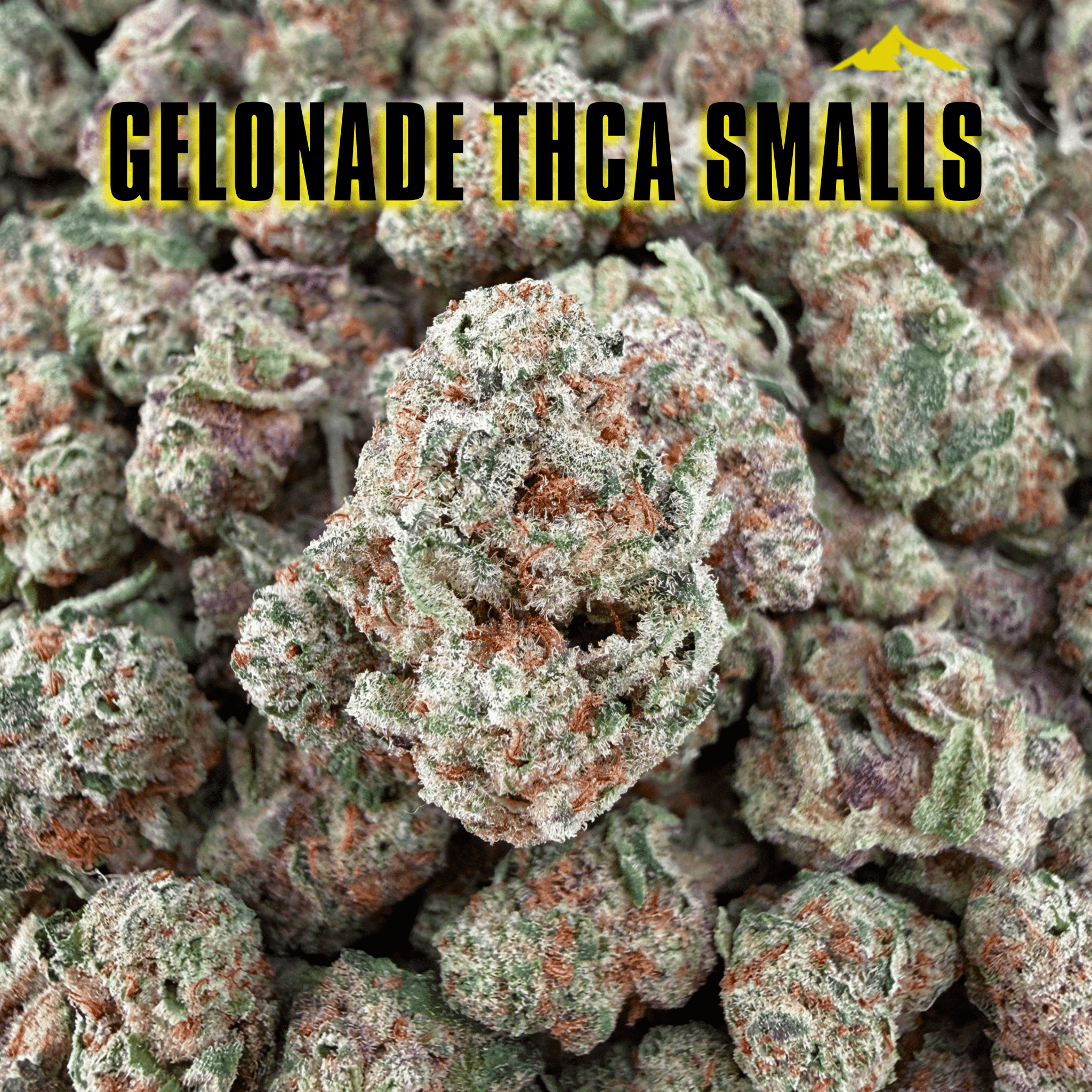 Budget Savings Bundle - Valley Hemp