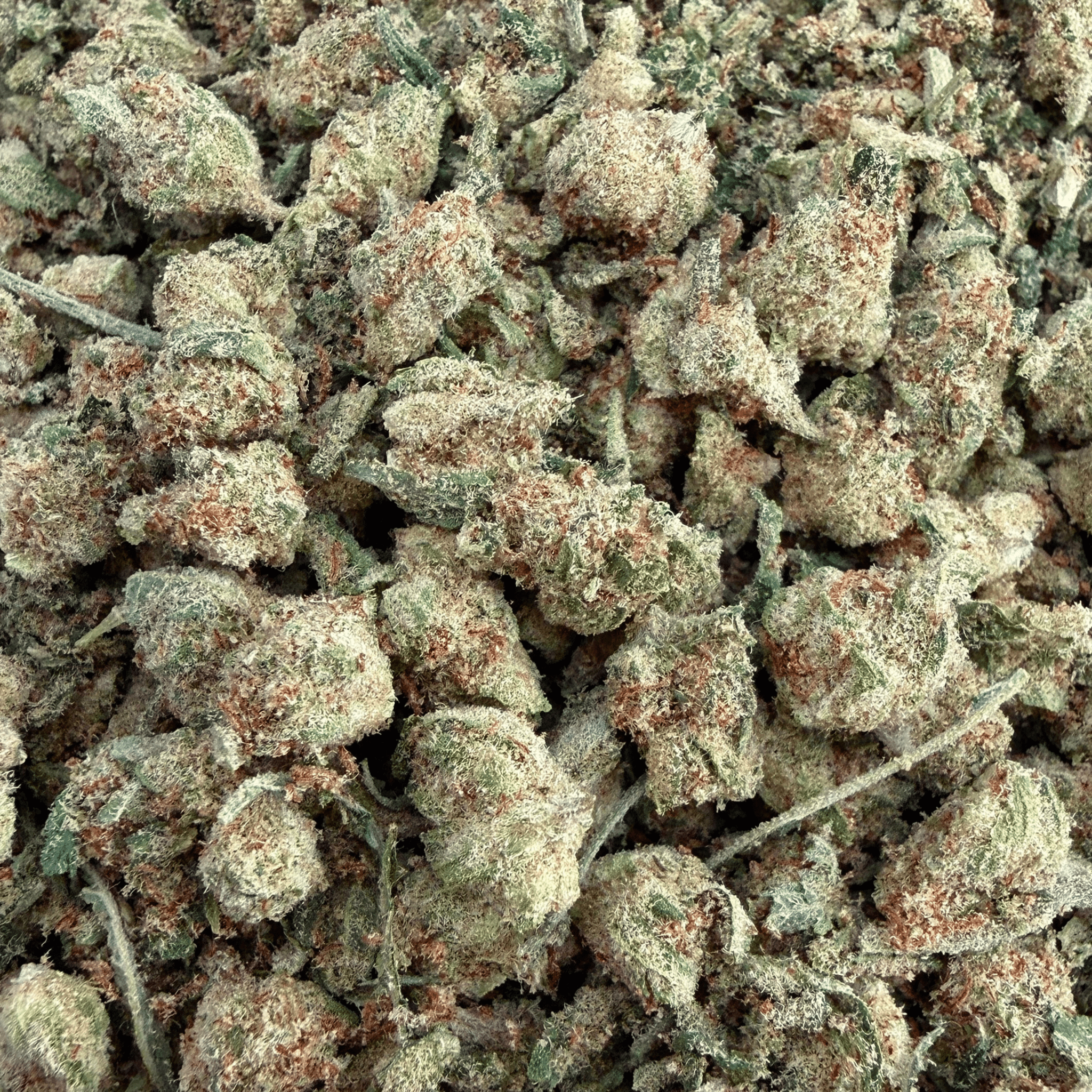 (Buy 1 Get 1 Free) No6 New. Gush Mints THCa Shake - Valley Hemp