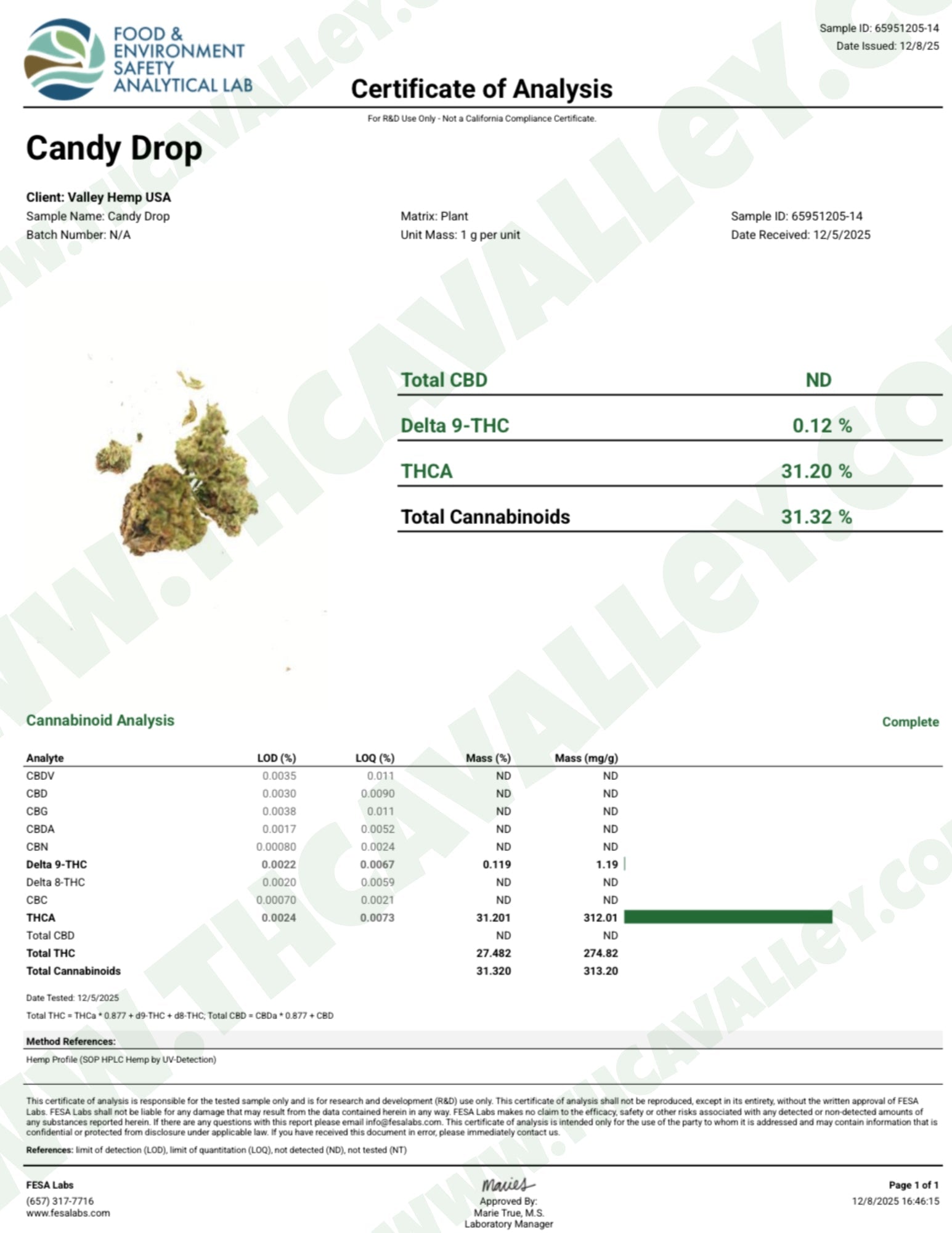 Candy Drop (Wholesale) - Valley Hemp