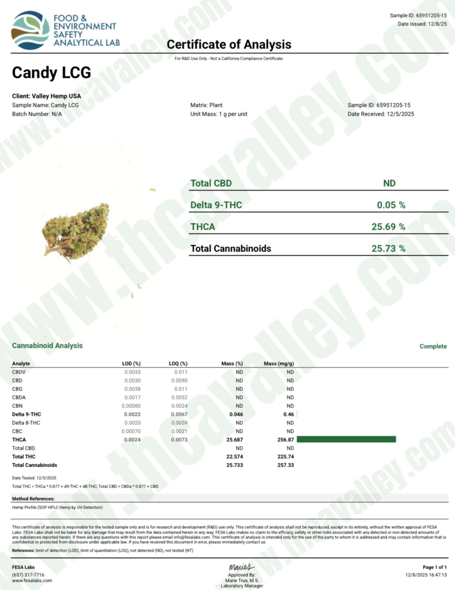 Candy LCG - Valley Hemp