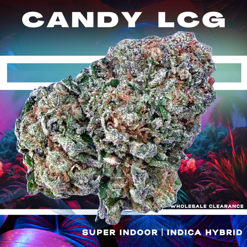 Candy LCG (Wholesale Clearance) - Valley Hemp