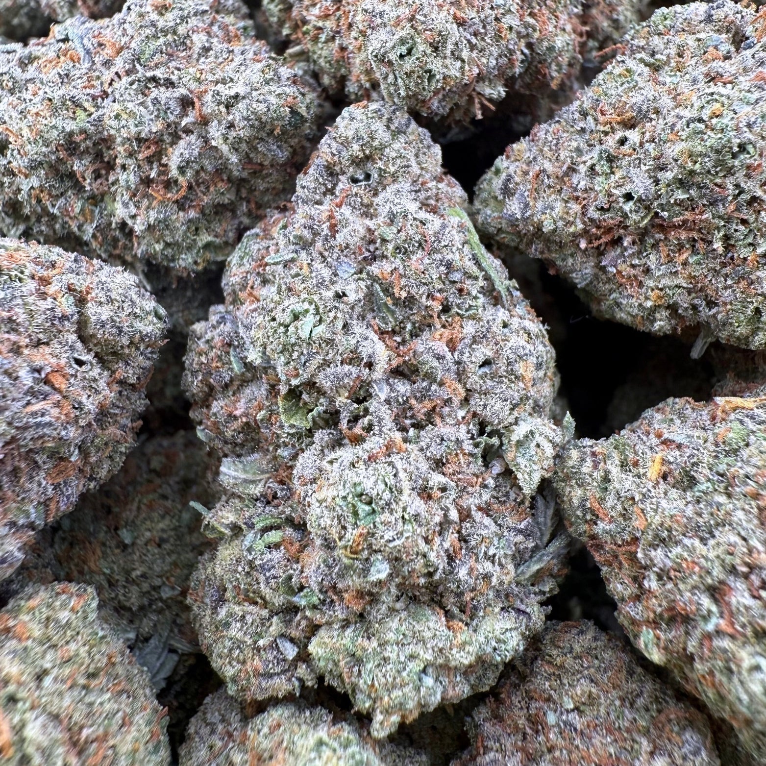Cheetah Piss - Valley Hemp