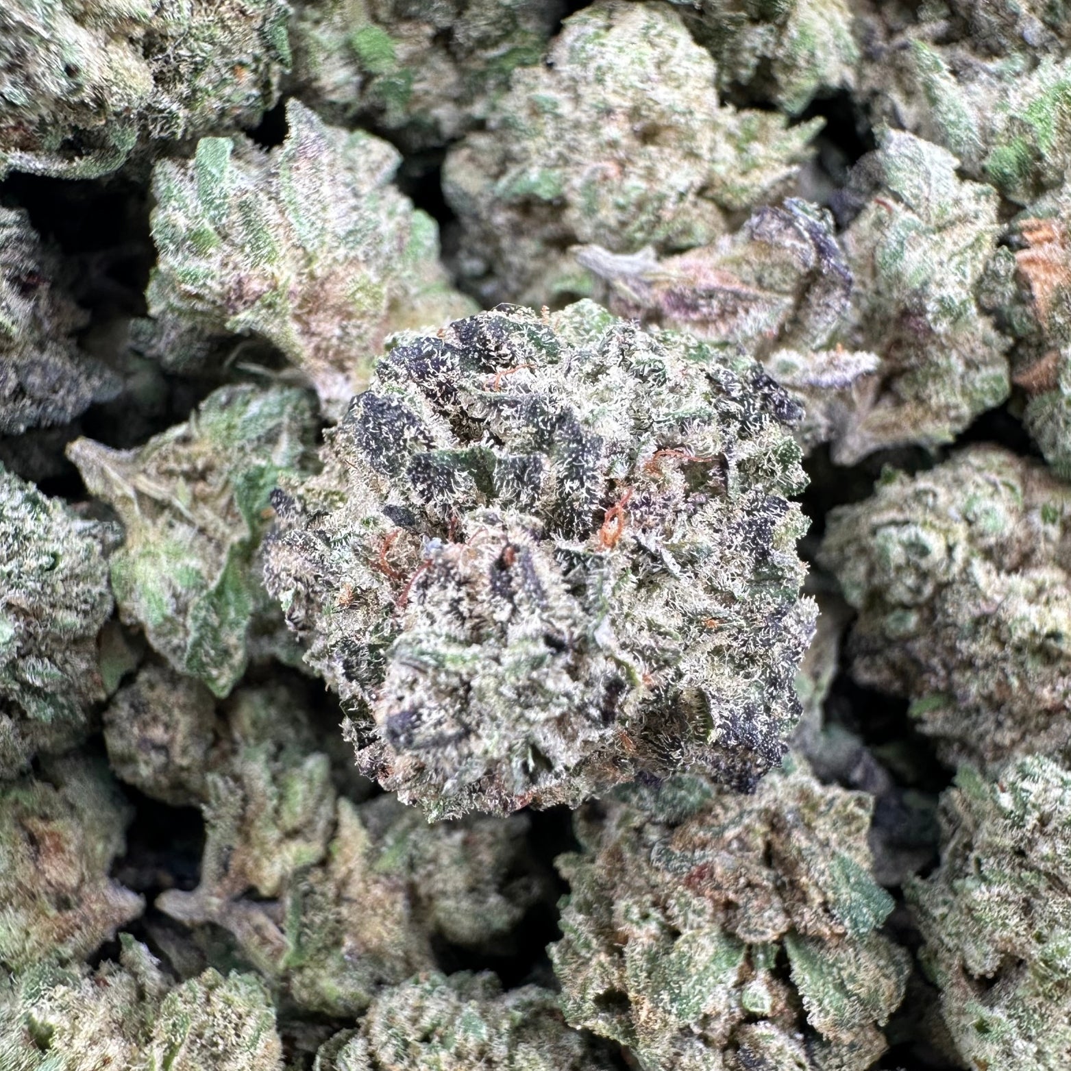 Cheetah Piss THCa Exotic Smalls - Valley Hemp
