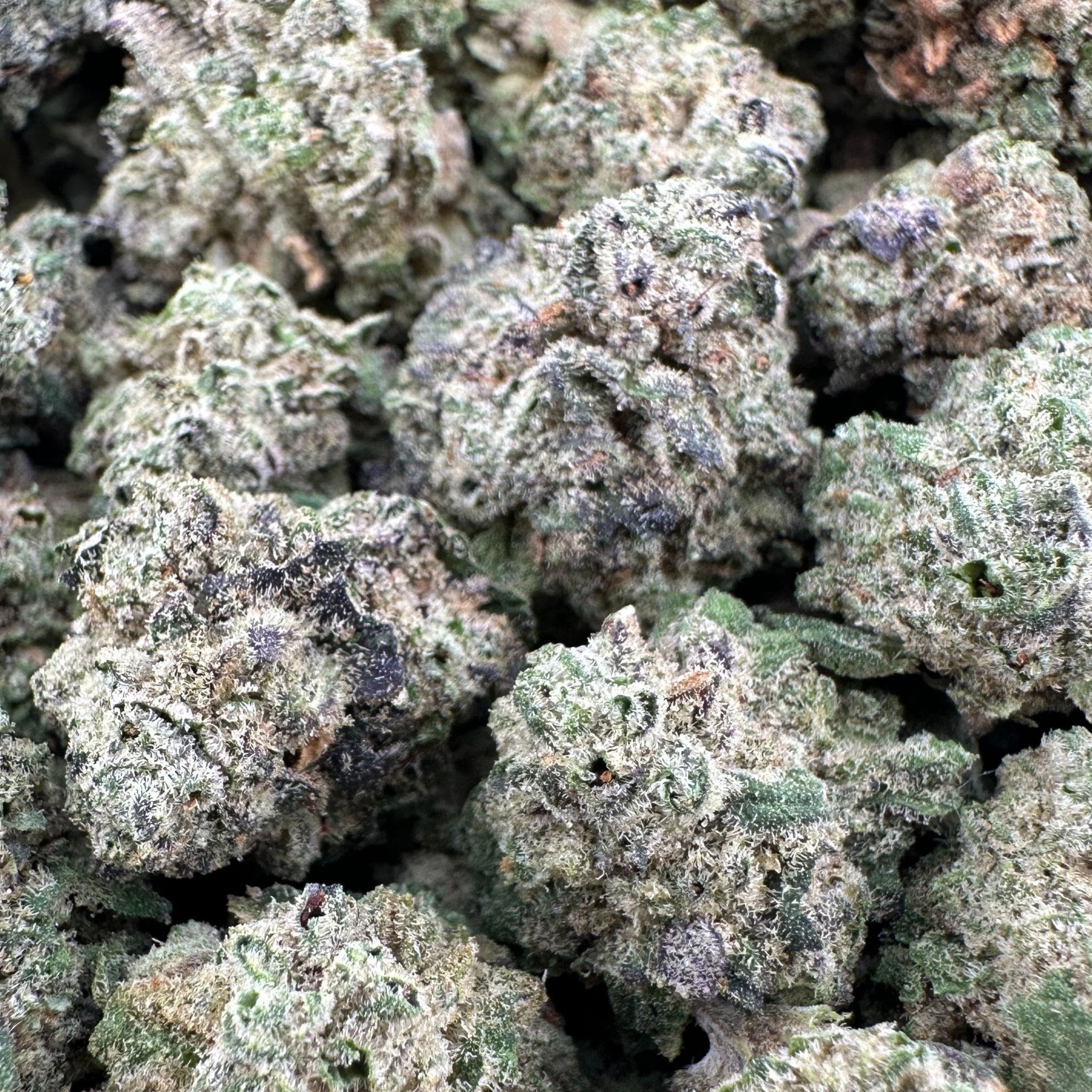 Cheetah Piss THCa Exotic Smalls - Valley Hemp