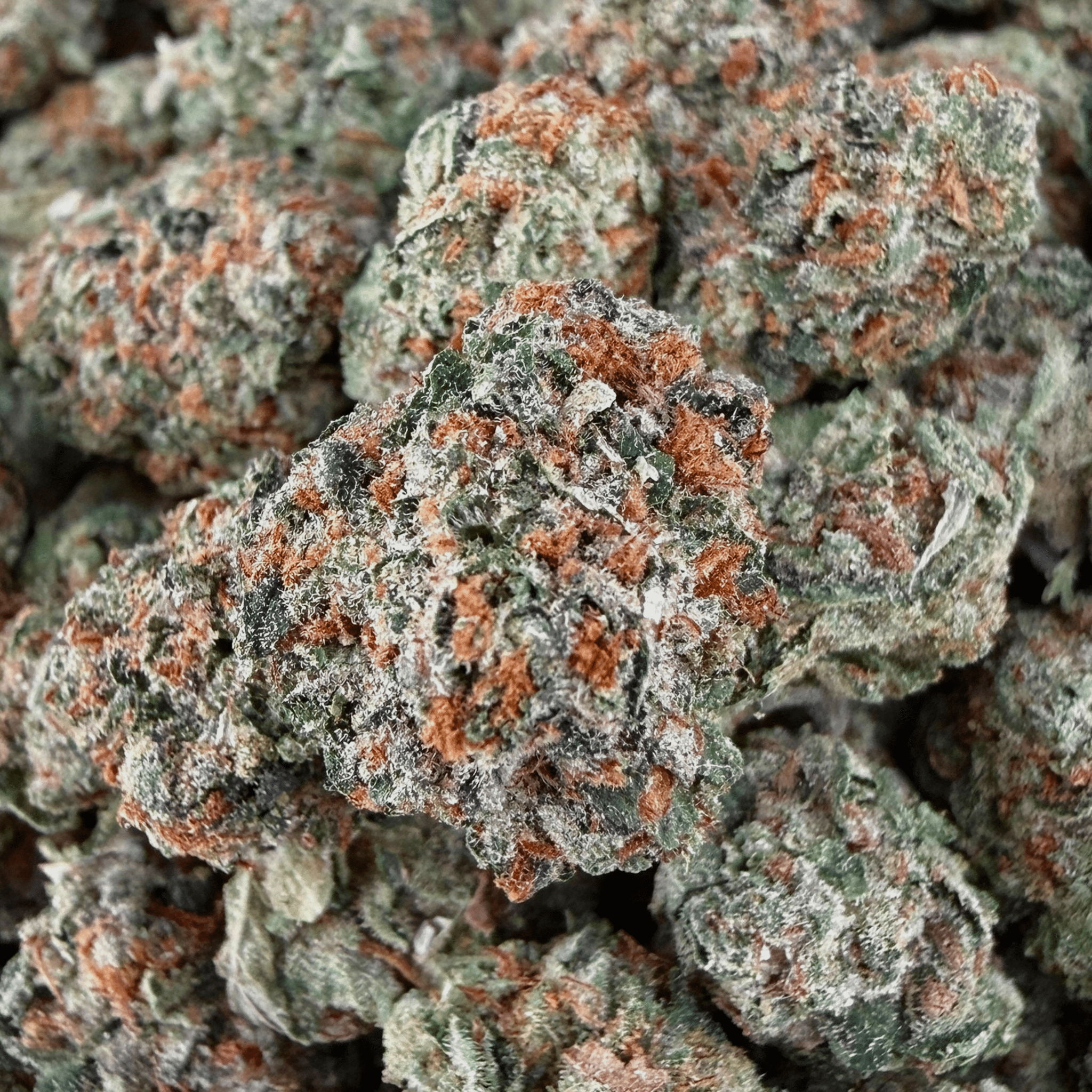 Cheetah Piss THCa Smalls - Valley Hemp