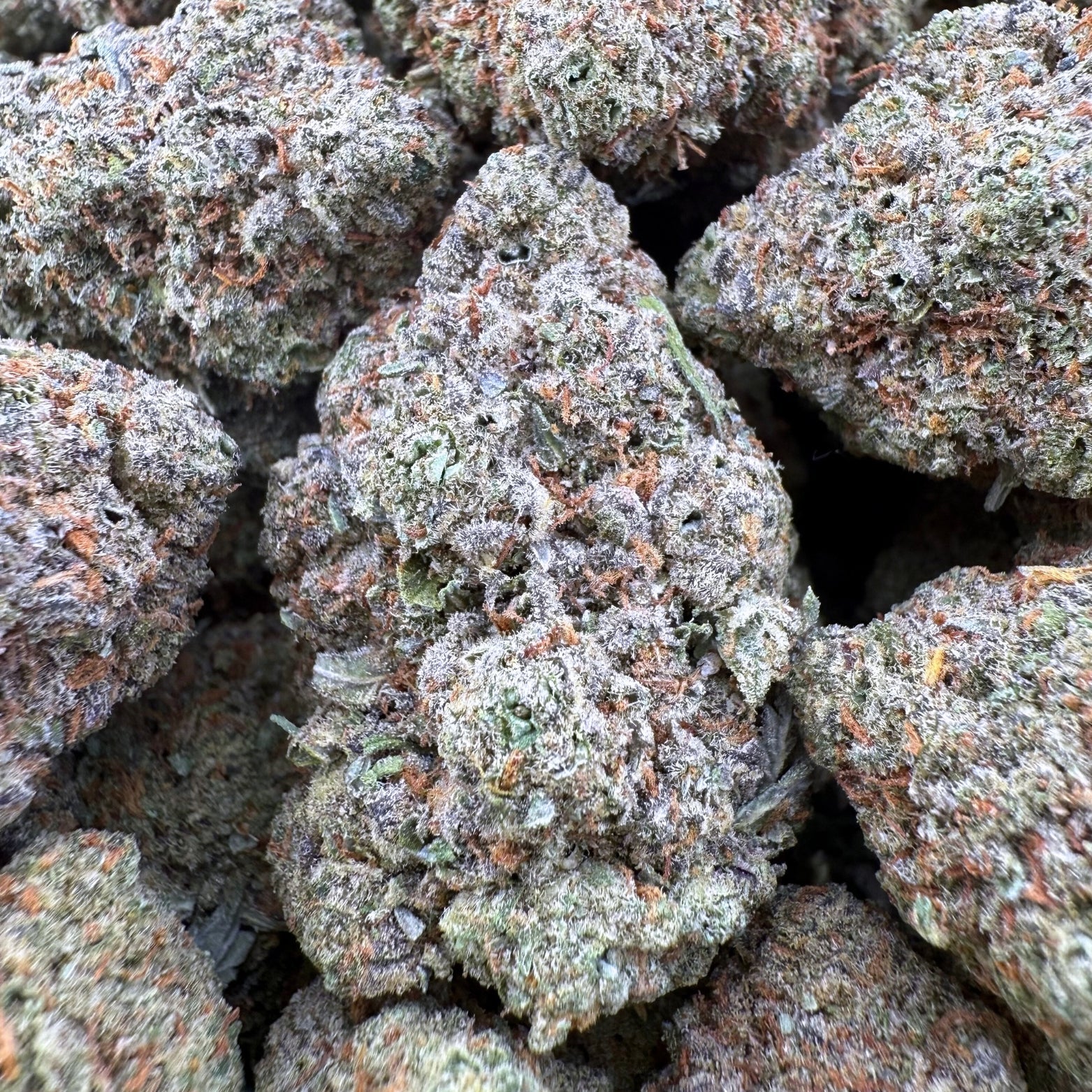 Cheetah Piss (Wholesale) - Valley Hemp
