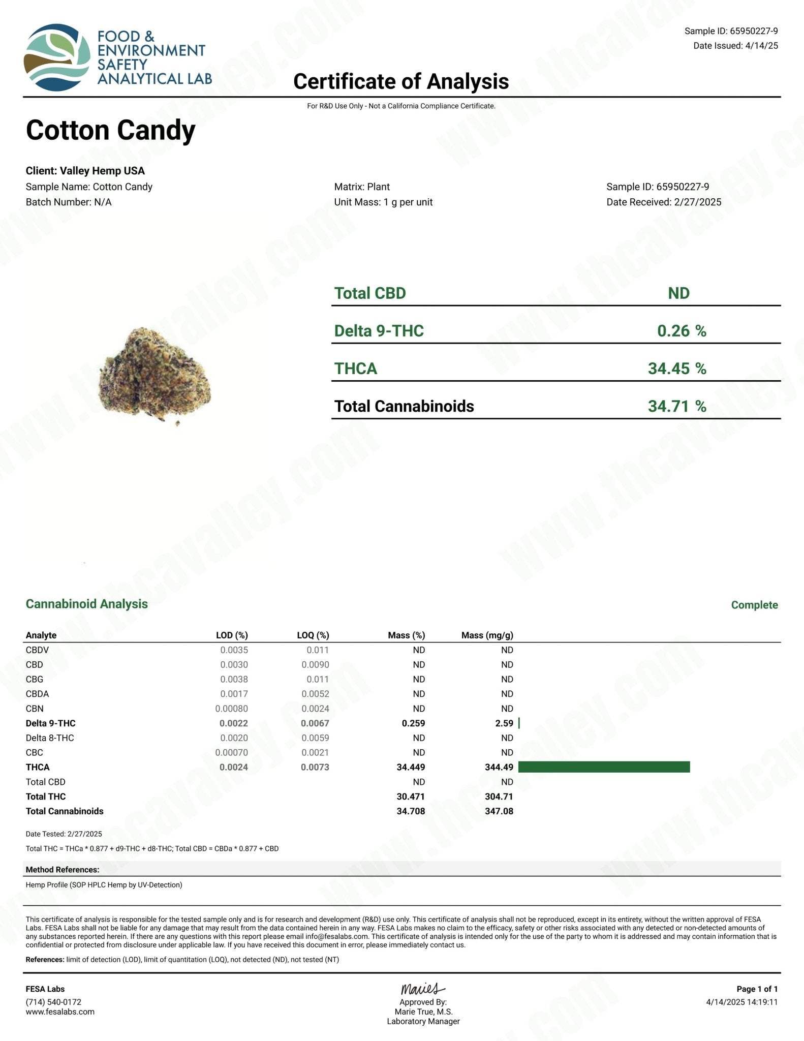 Cotton Candy (Wholesale) - Valley Hemp
