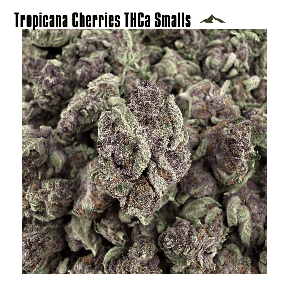 Date Night Bundle- Big Flower, Gummies - Valley Hemp