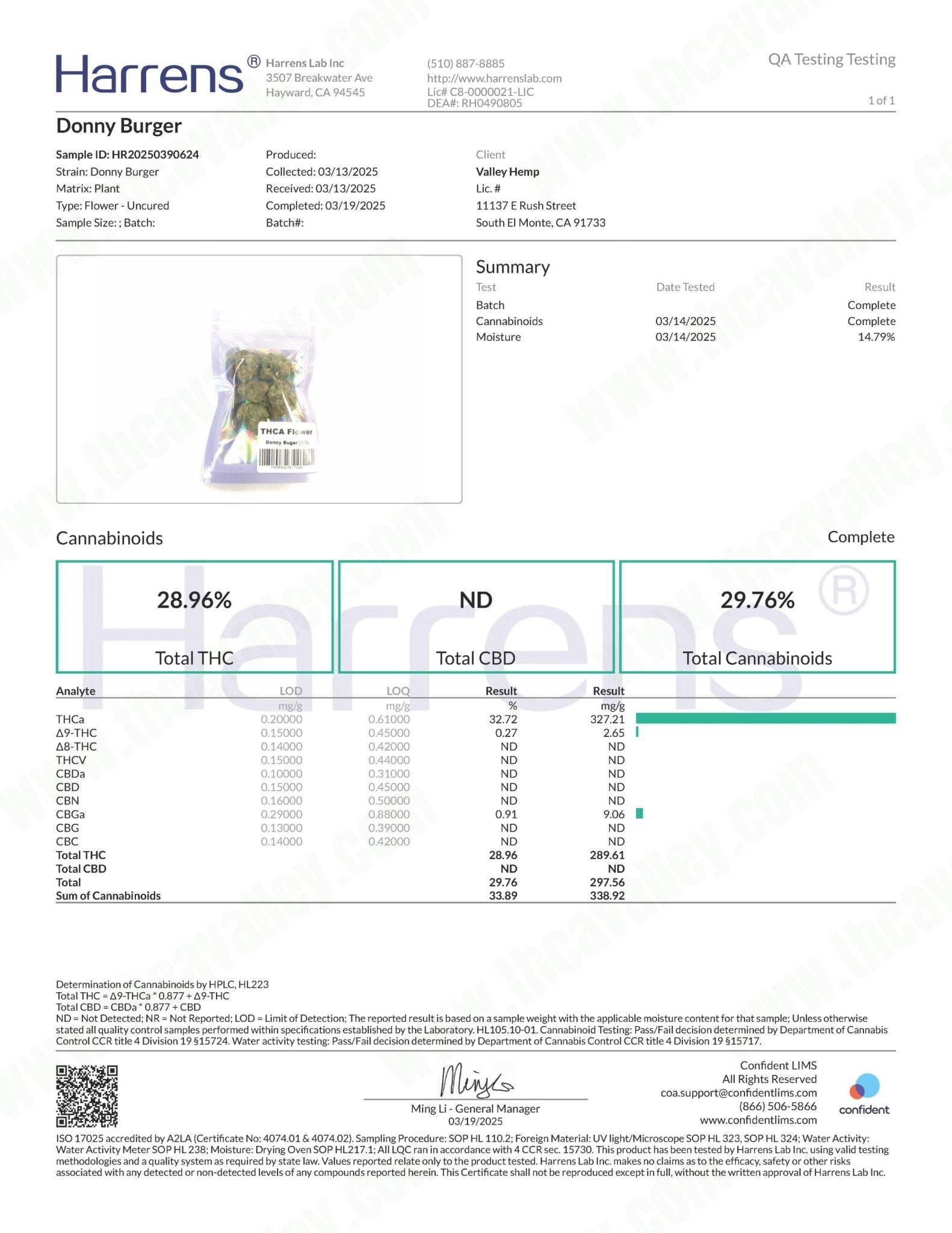 Donny Burger ( Wholesale ) - Valley Hemp