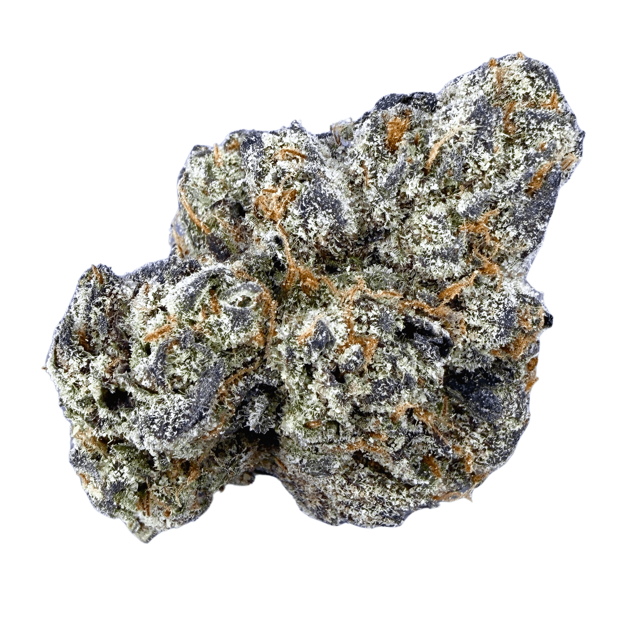 Exotic Black Cherry Gelato (Wholesale) - Valley Hemp