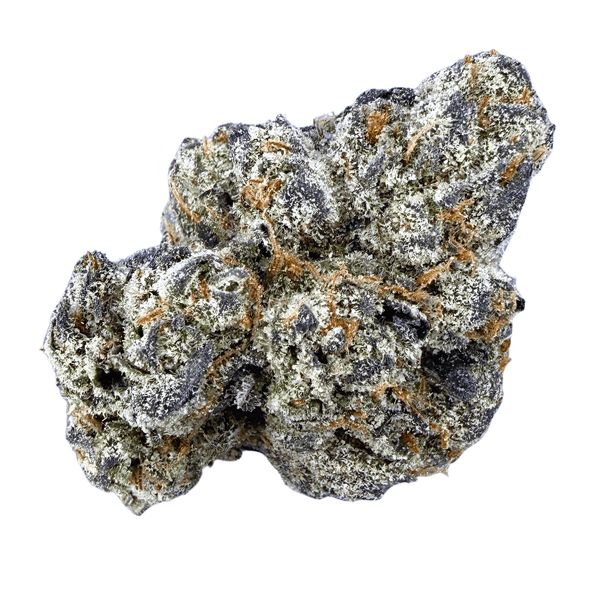 Exotic Black Cherry Gelato (Wholesale) - Valley Hemp