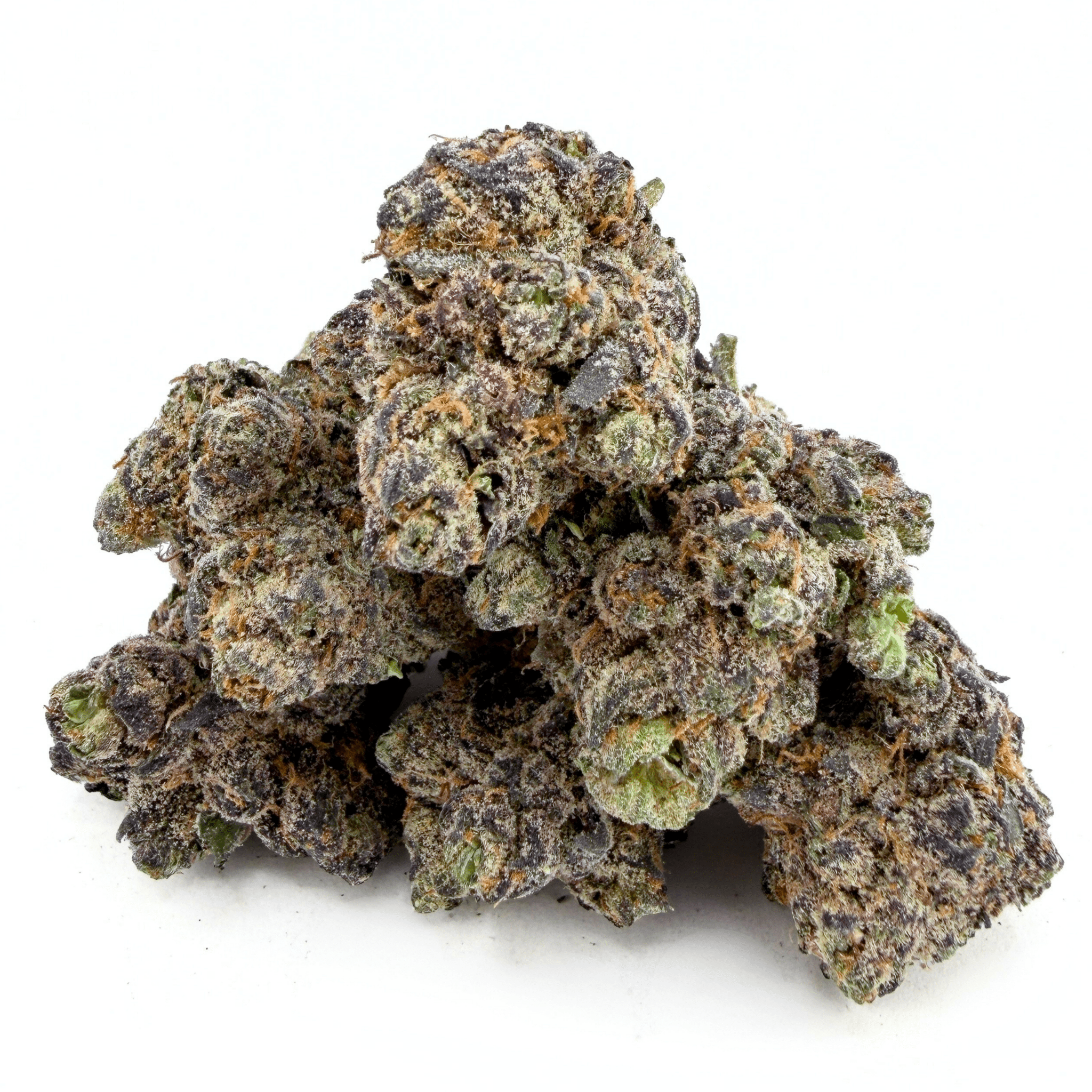 Exotic Black Cherry Gelato (Wholesale) - Valley Hemp