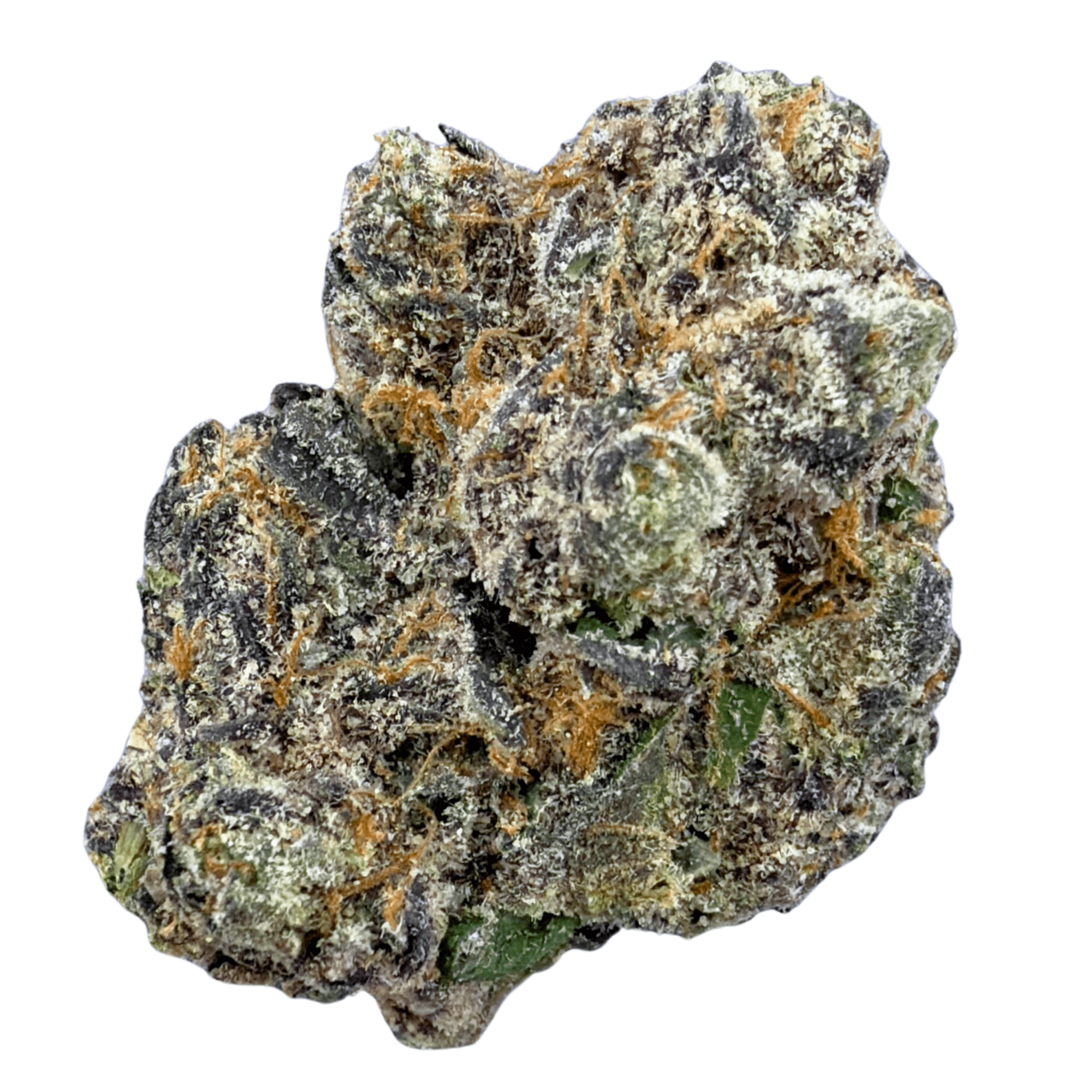 Exotic Black Cherry Gelato (Wholesale) - Valley Hemp