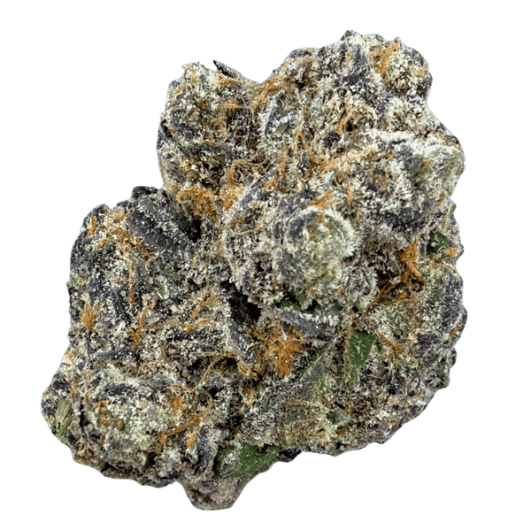 Exotic Black Cherry Gelato (Wholesale) - Valley Hemp