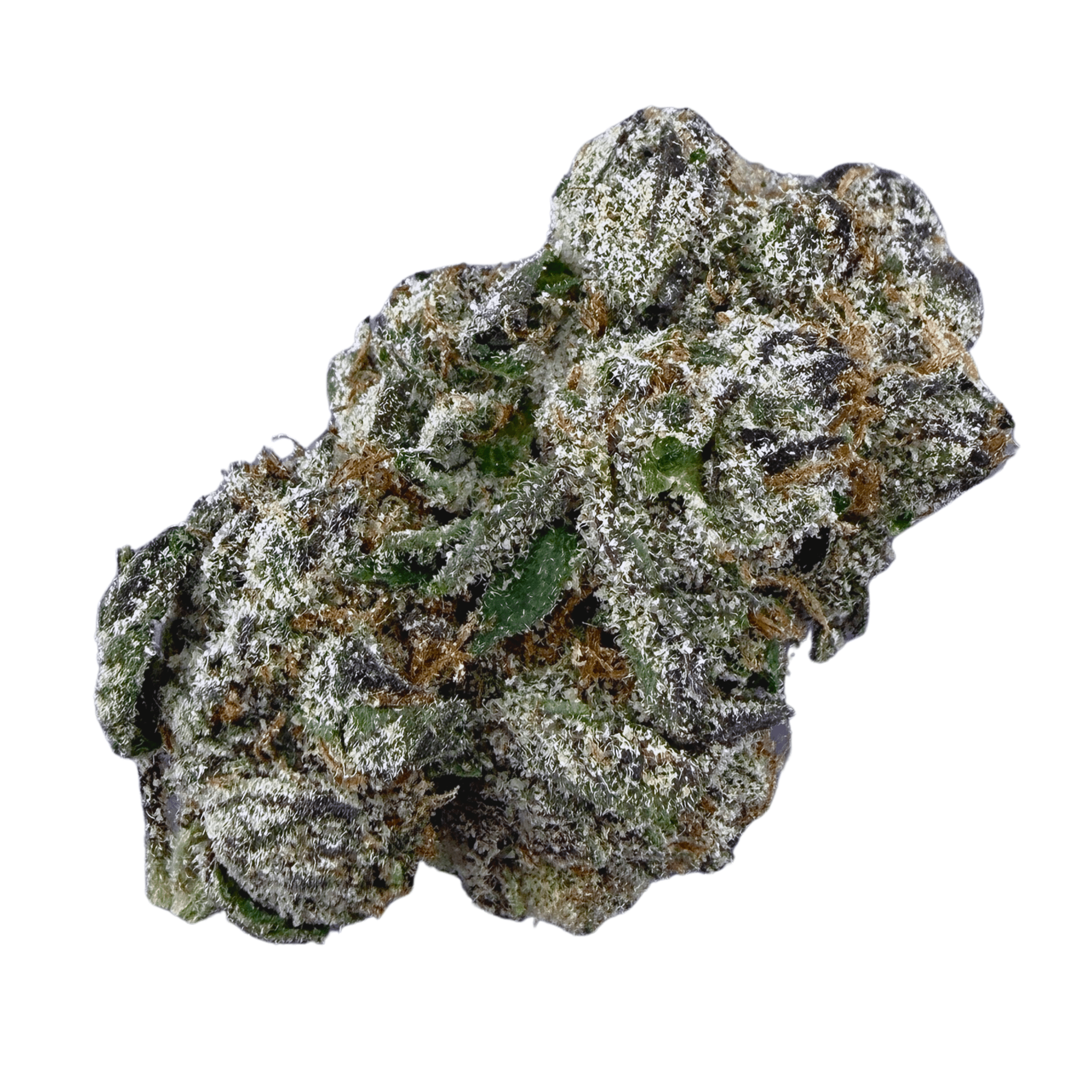 Exotic Bolo Runtz - Valley Hemp