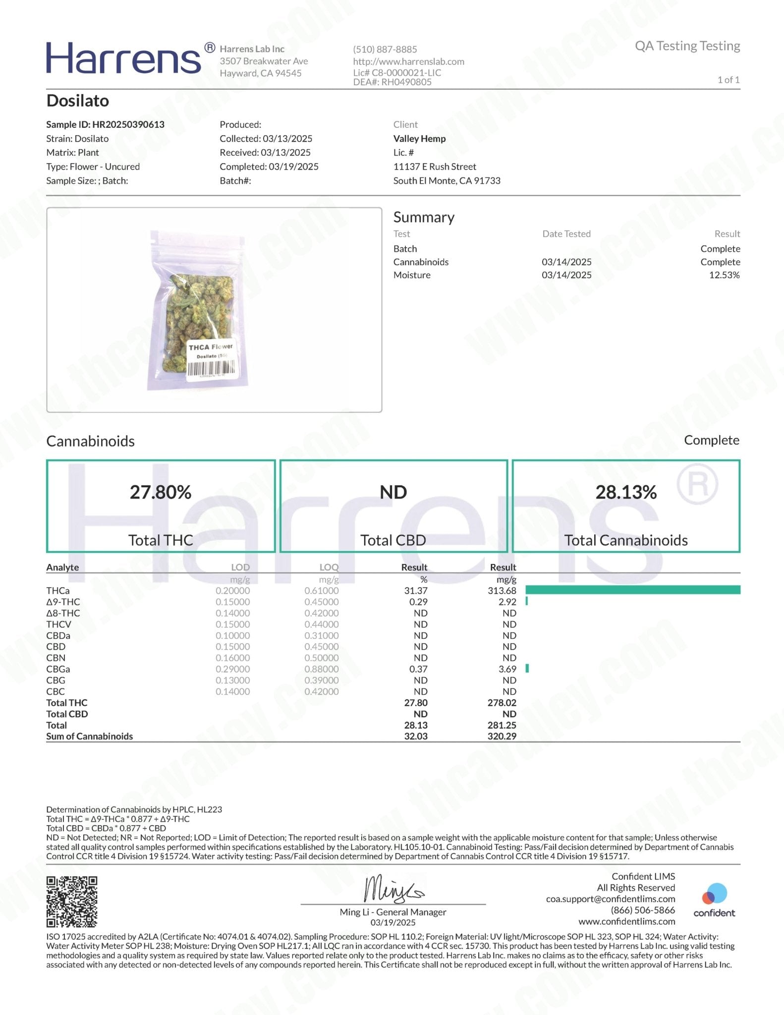 Exotic Dosilato (Wholesale) - Valley Hemp