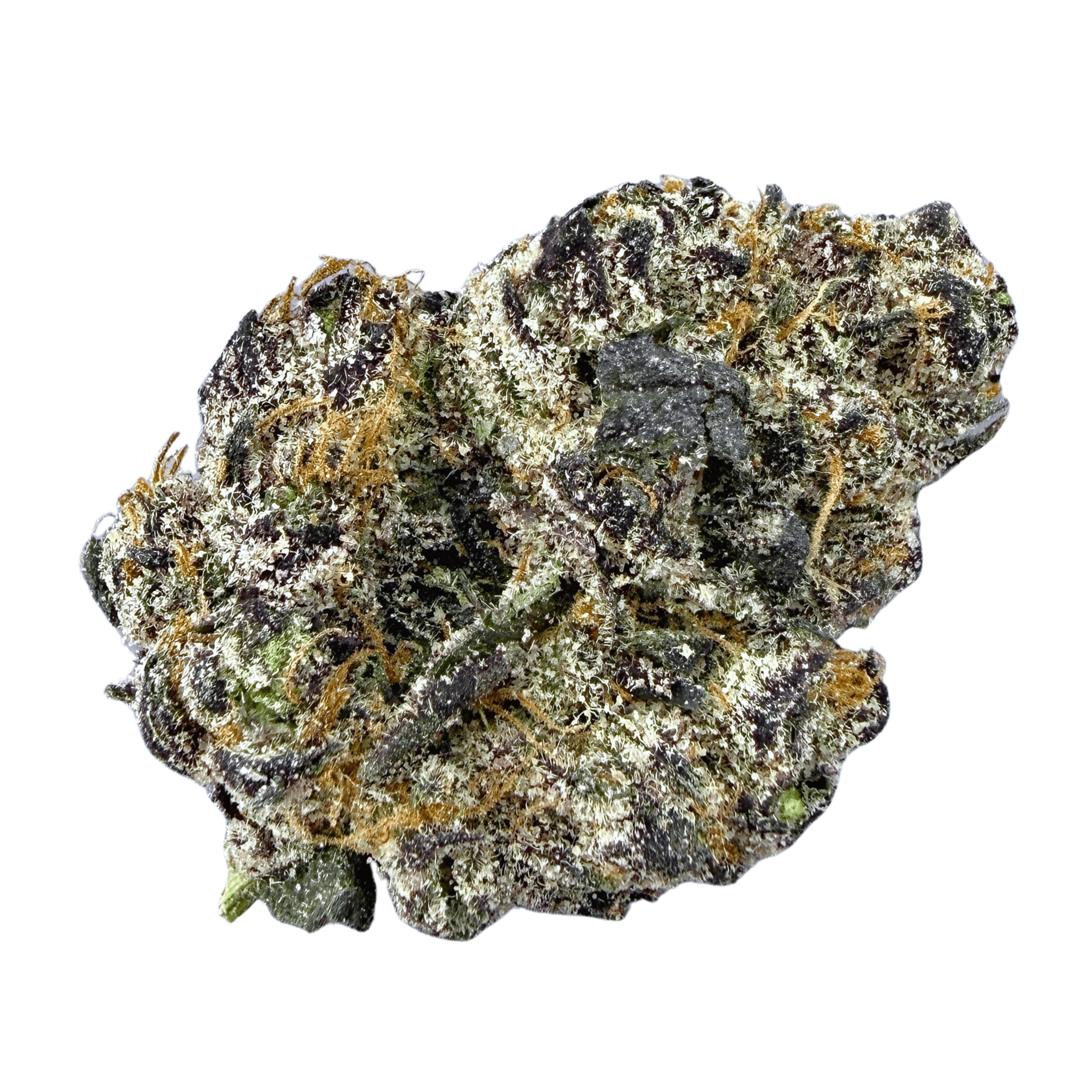 Exotic Gelato 33 (Wholesale) - Valley Hemp
