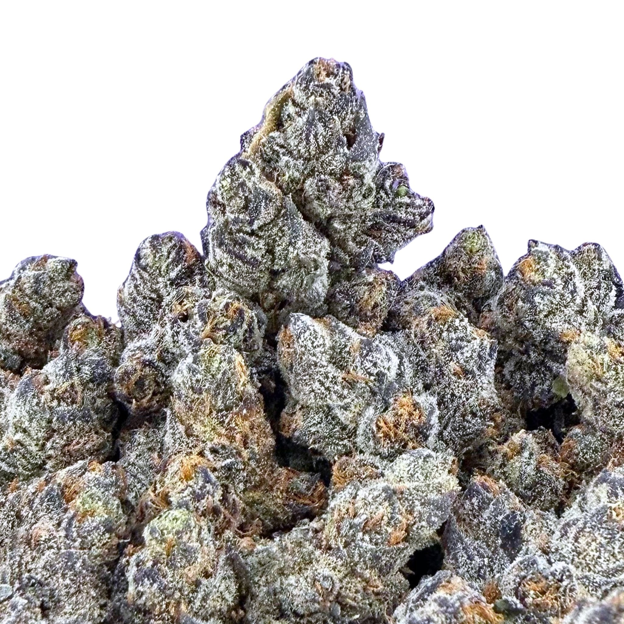 Exotic Gelato 33 ( Wholesale ) - Valley Hemp