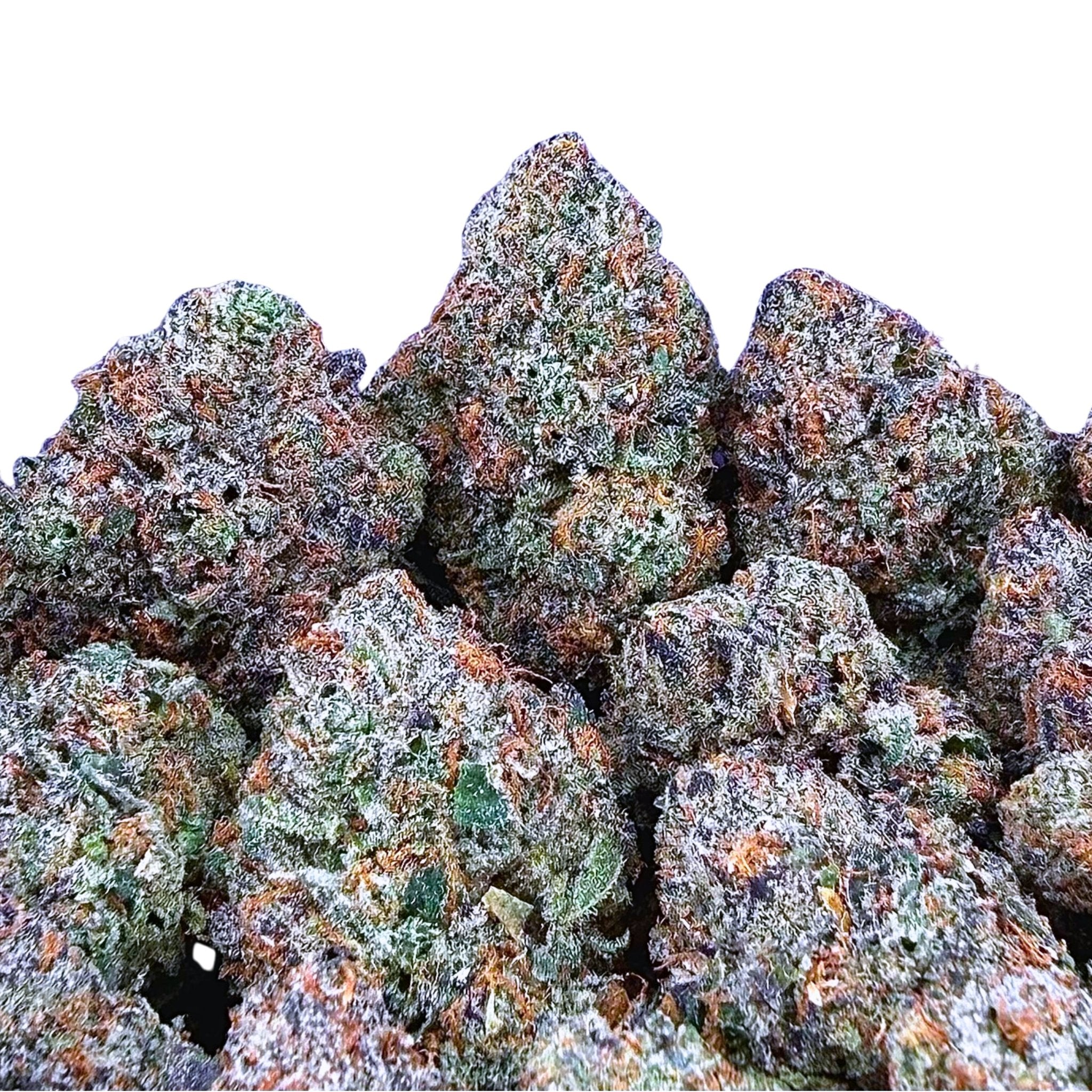 Exotic Gelato 33 ( Wholesale ) - Valley Hemp