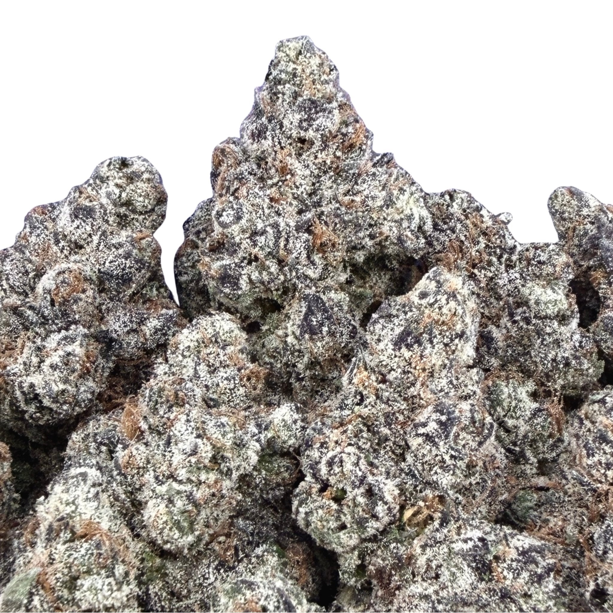 Exotic Gelato 33 ( Wholesale ) - Valley Hemp