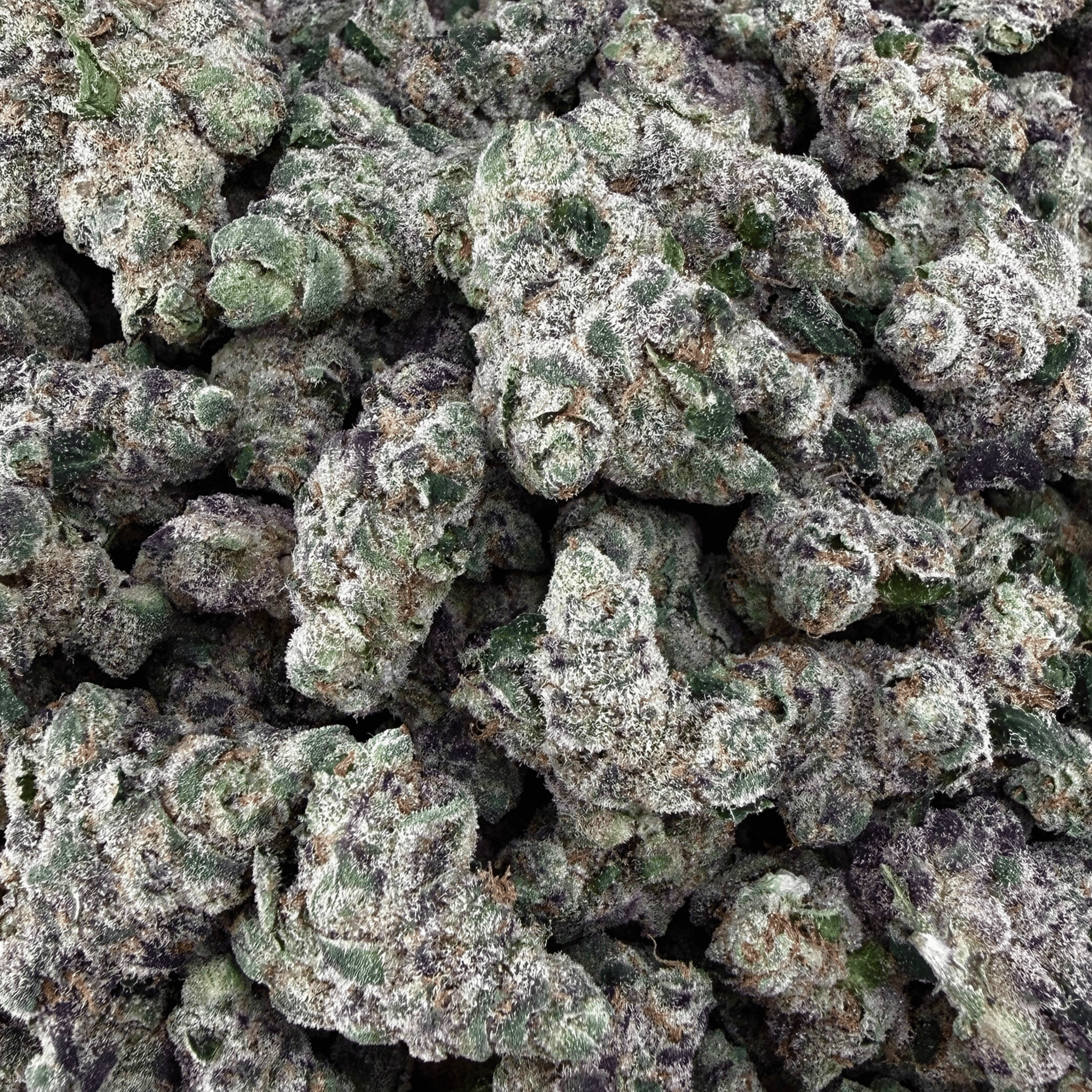 Exotic Girl Scout Cookies THCa Smalls - Valley Hemp