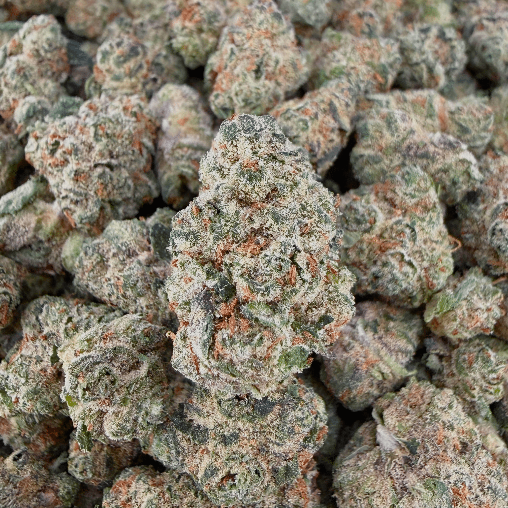 Exotic Grandaddy Purple THCa Smalls (Wholesale) - Valley Hemp