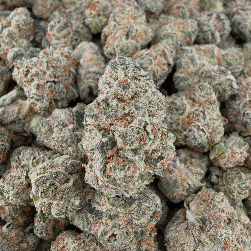 Exotic Grandaddy Purple THCa Smalls (Wholesale) - Valley Hemp