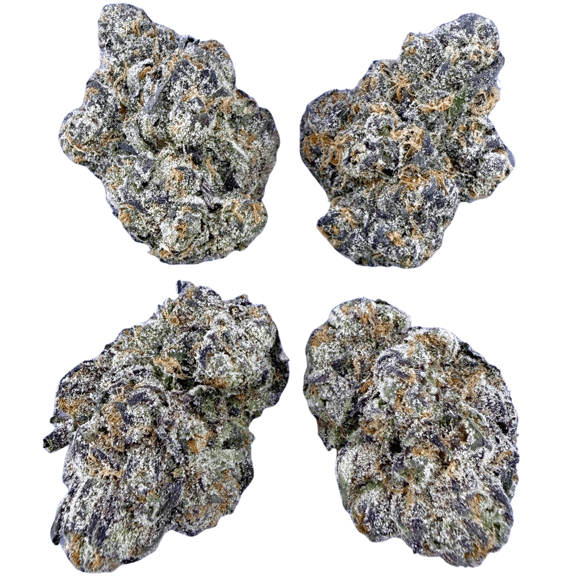 Exotic Gruntz (Wholesale) - Valley Hemp