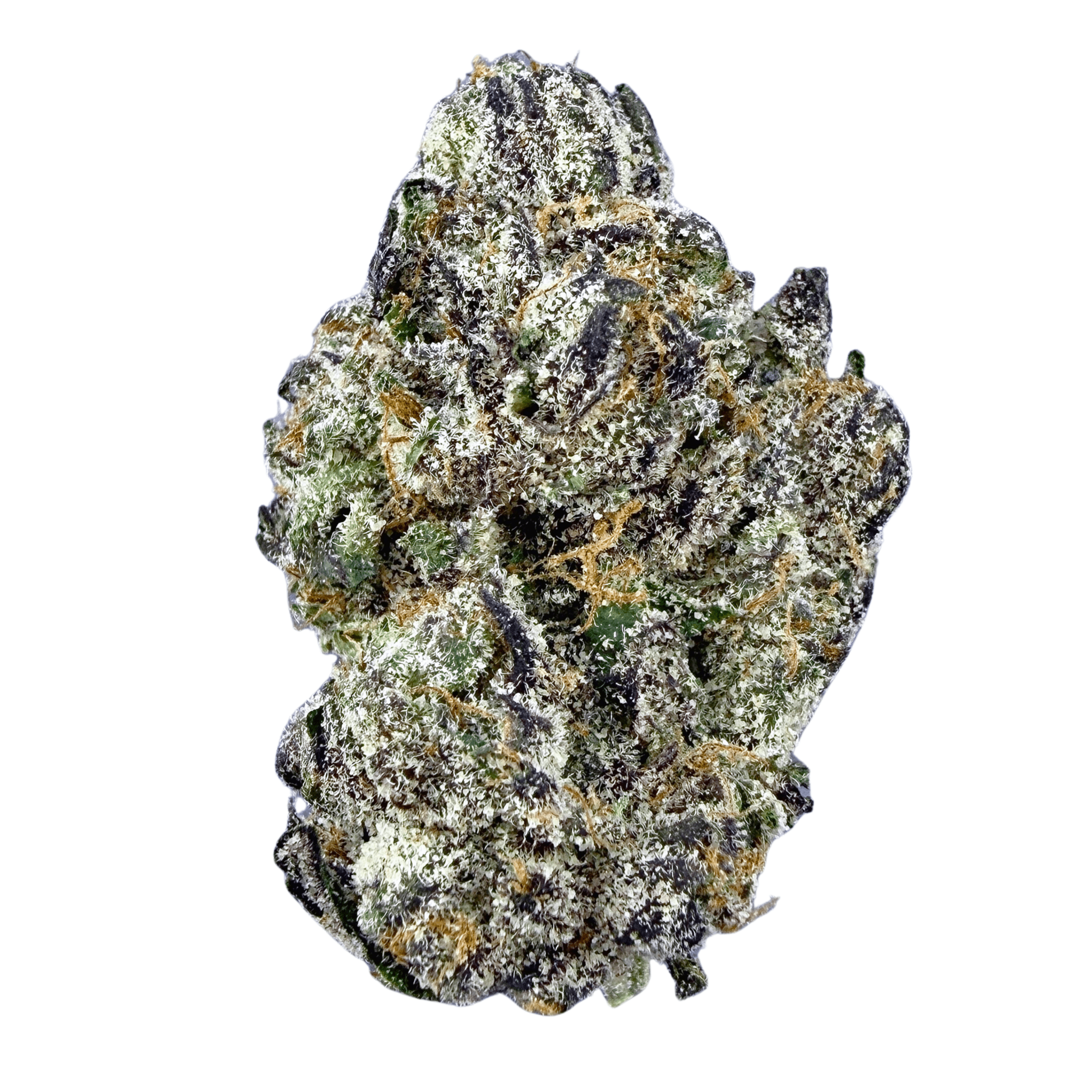 Exotic Gruntz (Wholesale) - Valley Hemp