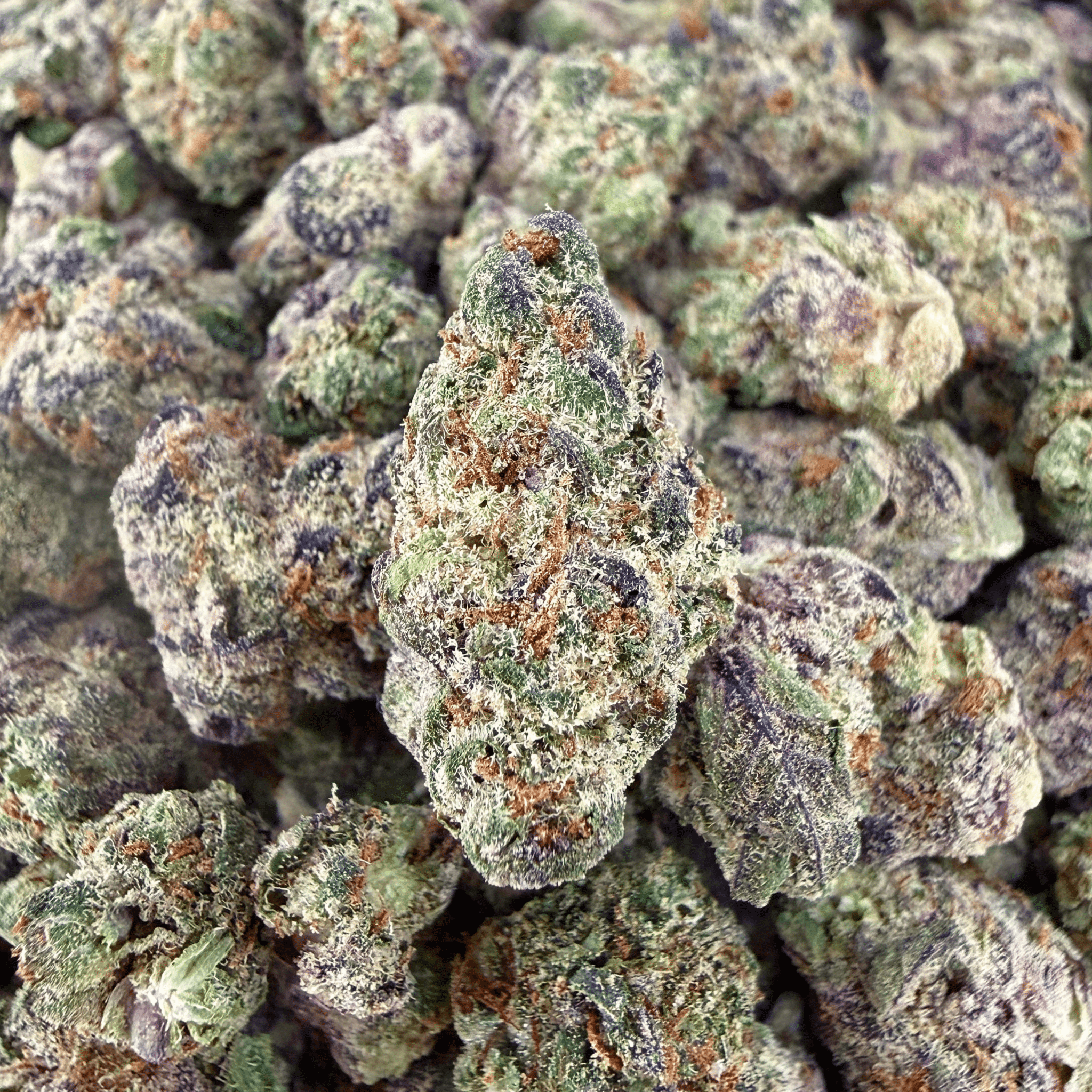 Exotic Ice Cream Cake THCa Smalls (Wholesale) - Valley Hemp