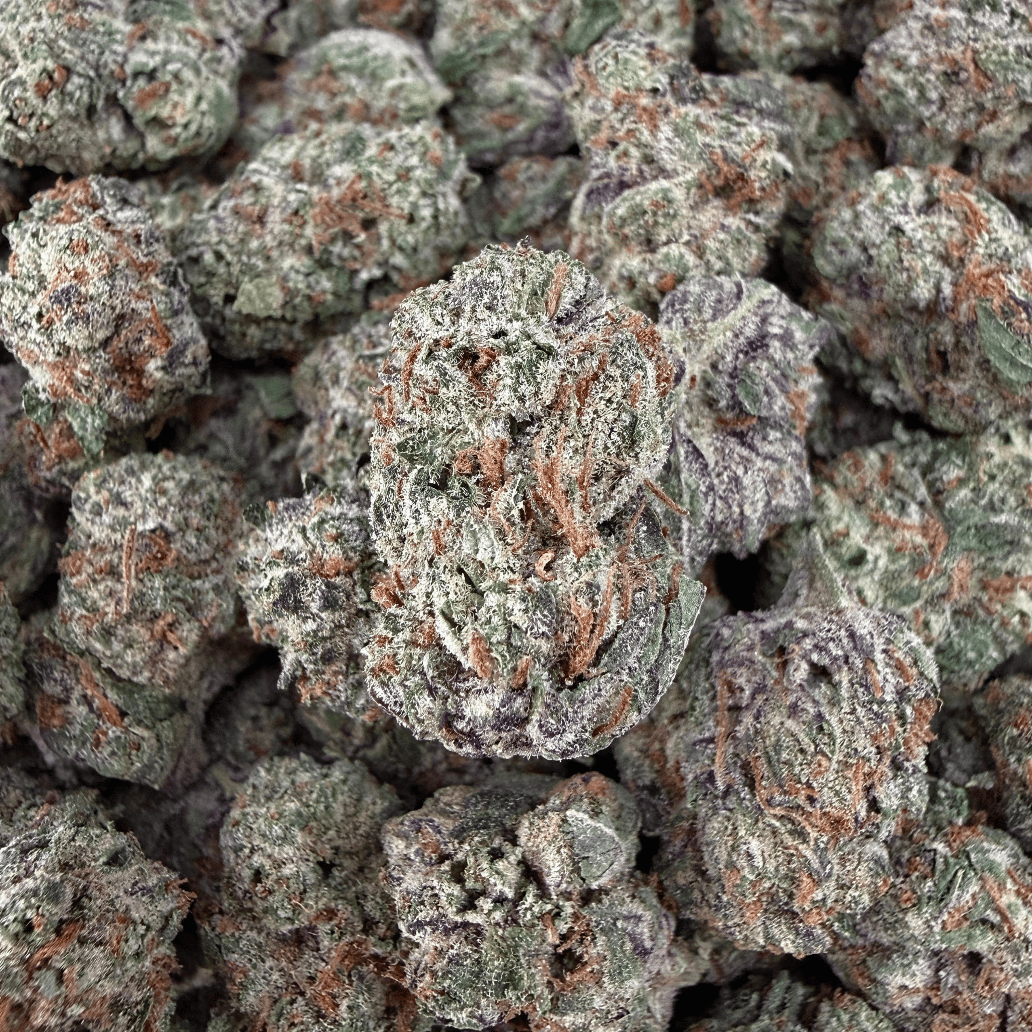 Exotic Ice Cream Cake THCa Smalls (Wholesale) - Valley Hemp