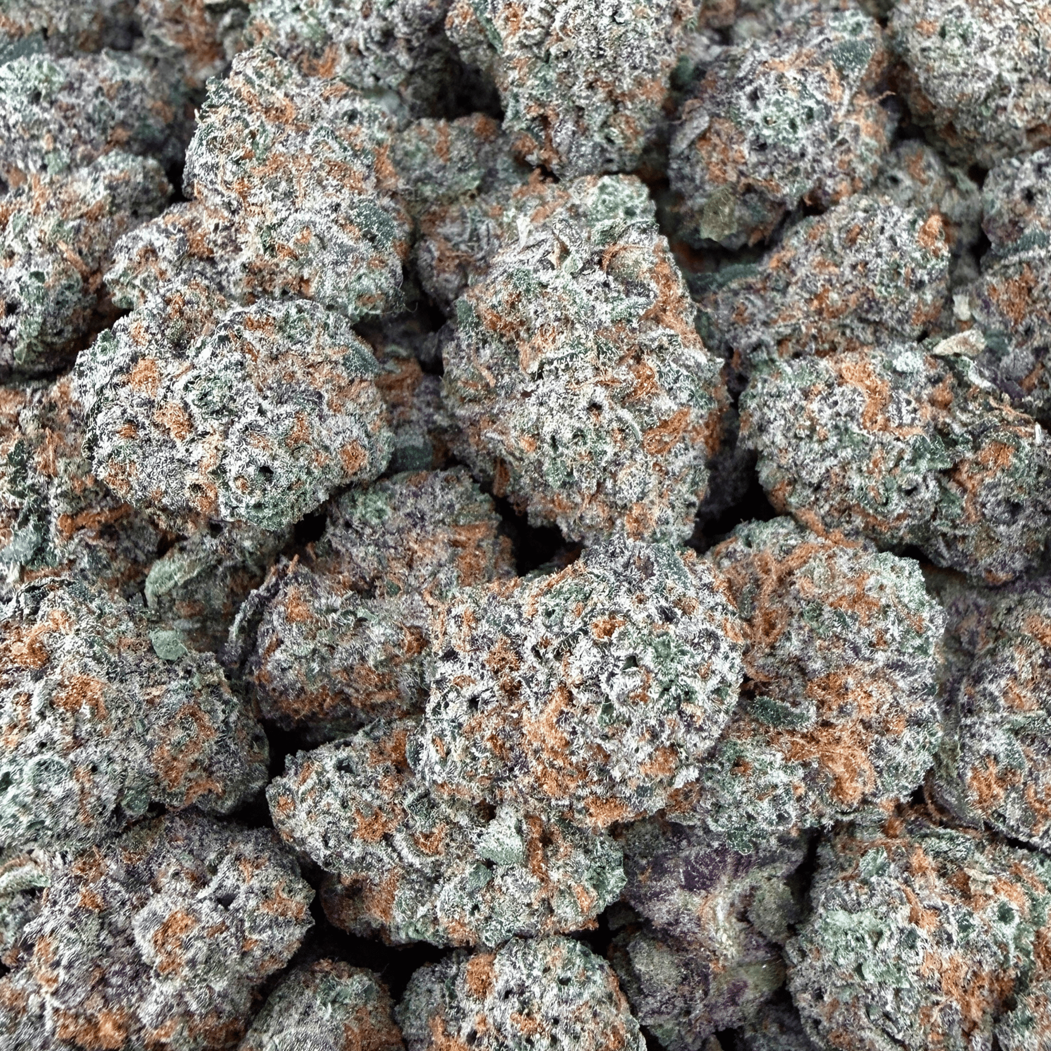 Exotic Ice Cream Cake THCa Smalls (Wholesale) - Valley Hemp