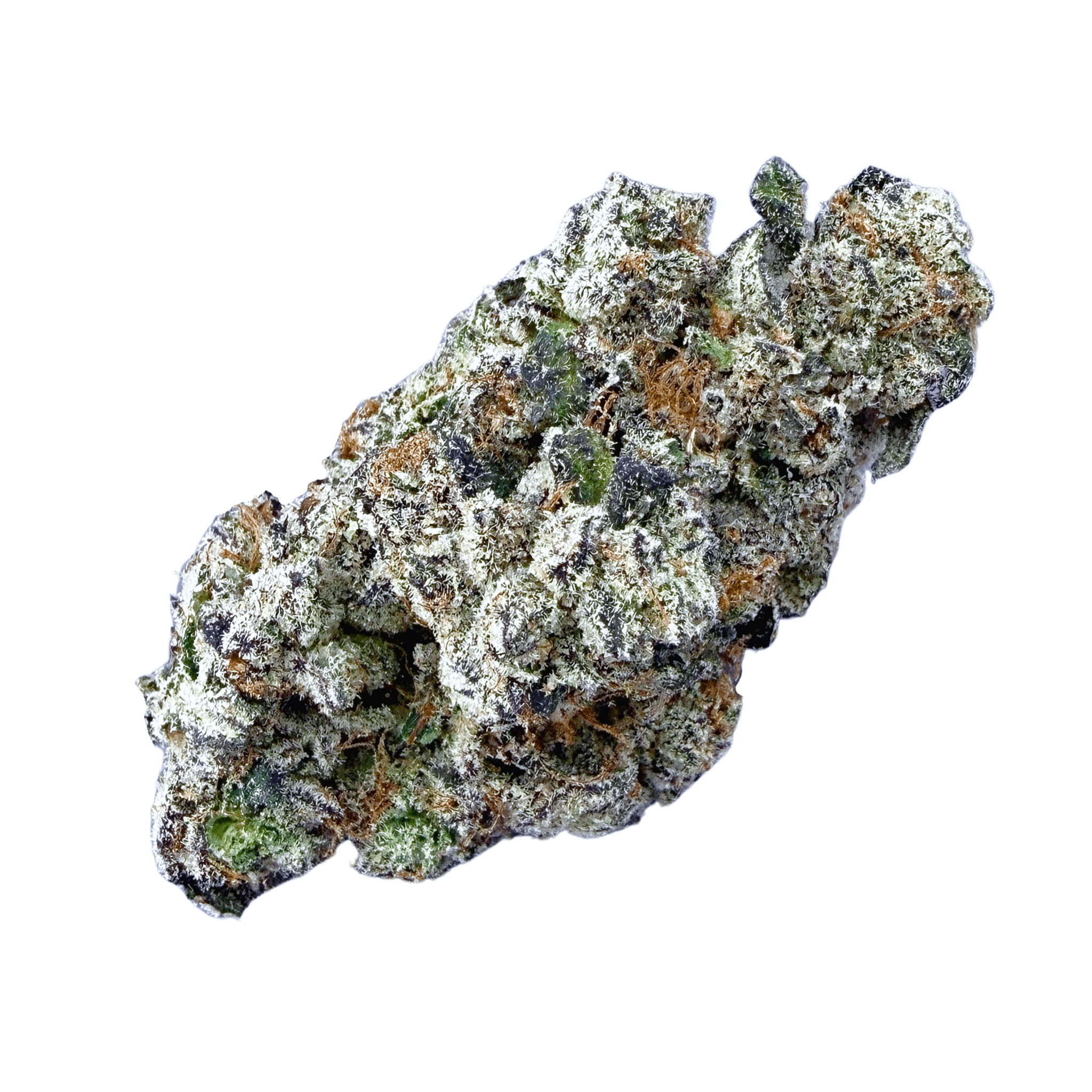Exotic LA Pop Rock ( Wholesale ) - Valley Hemp