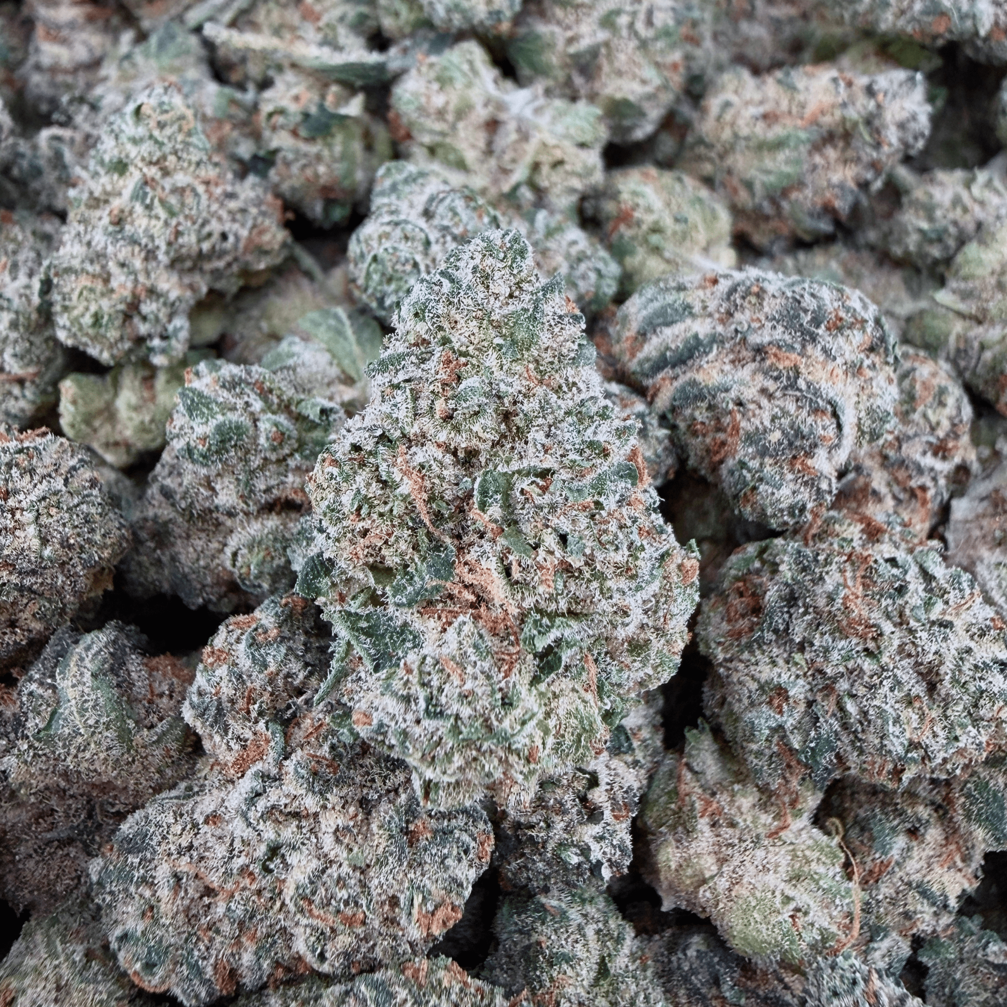 Exotic LCG THCa Smalls - Valley Hemp