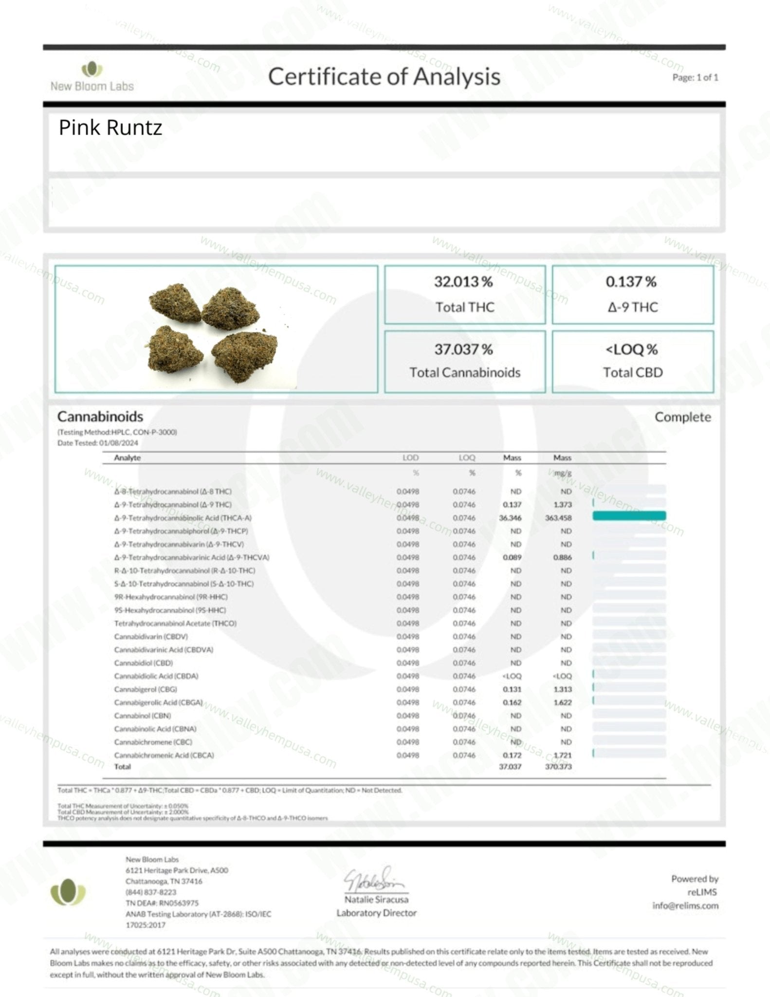 Exotic Pink Runtz ( Wholesale ) - Valley Hemp