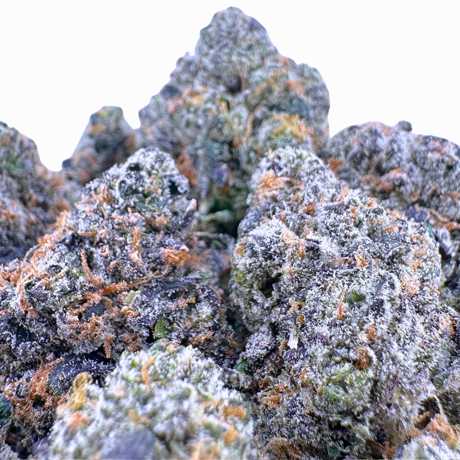 Exotic Pink Runtz ( Wholesale ) - Valley Hemp
