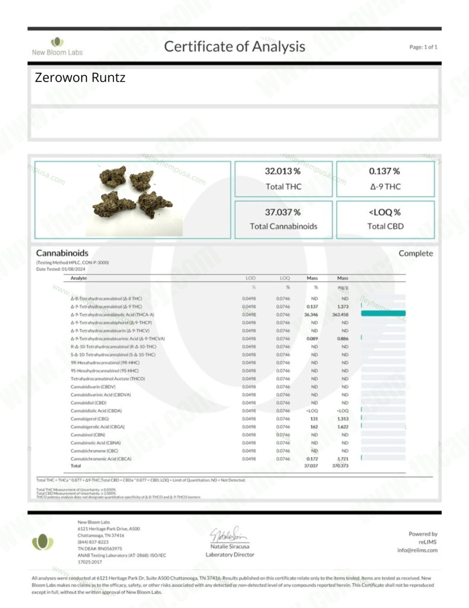 Exotic Zerowon Runtz (Wholesale) - Valley Hemp