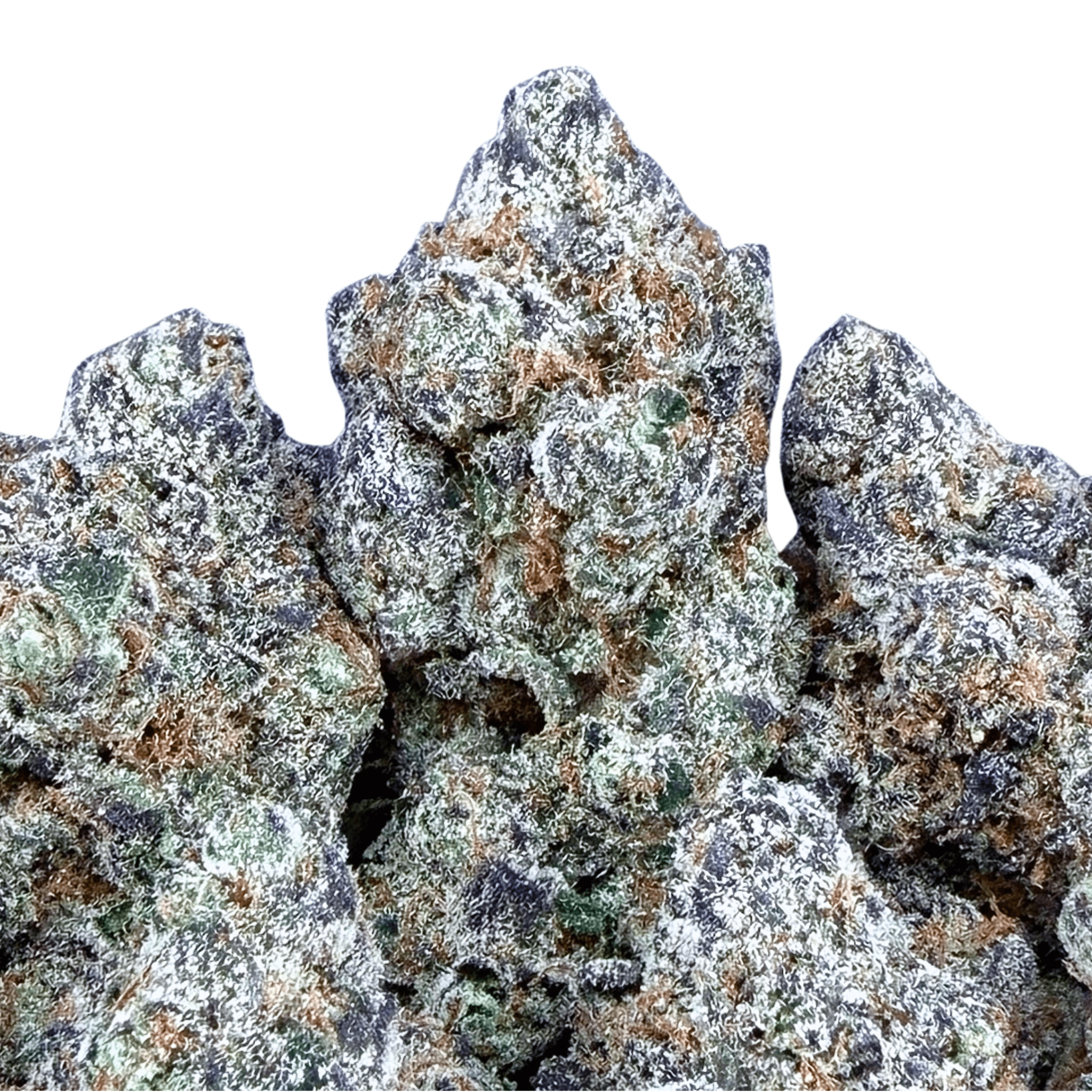 Exotic Zerowon Runtz (Wholesale) - Valley Hemp