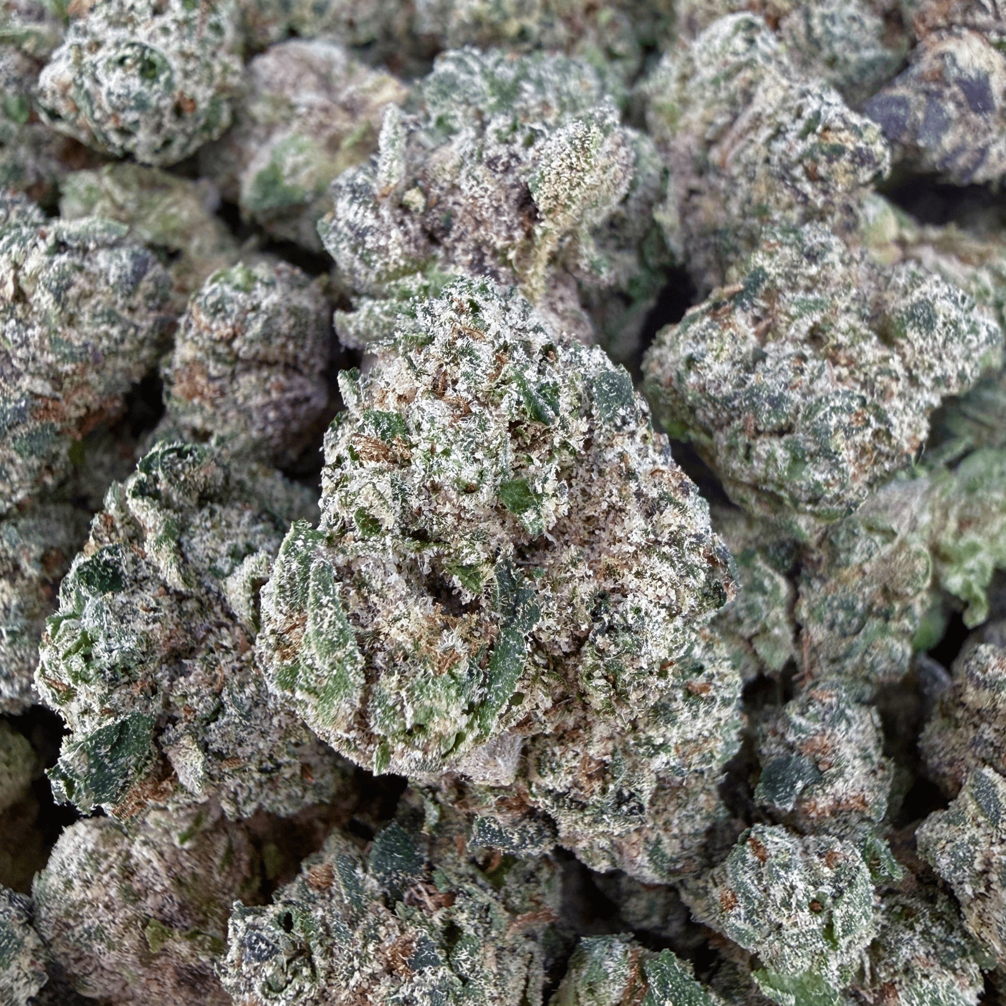 Exotic Zkittlez THCa Smalls (Wholesale) - Valley Hemp