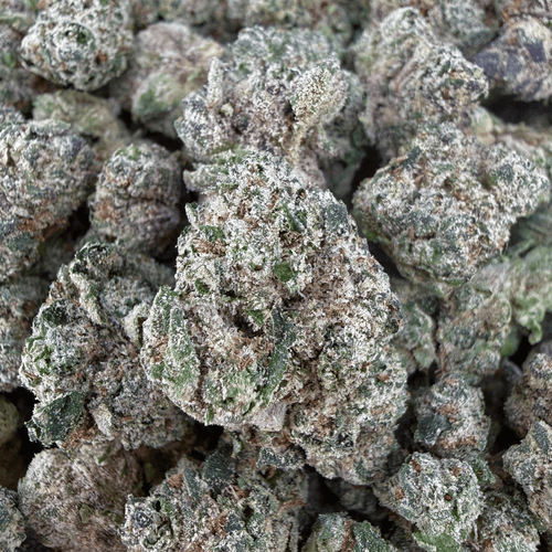 Exotic Zkittlez THCa Smalls (Wholesale) - Valley Hemp