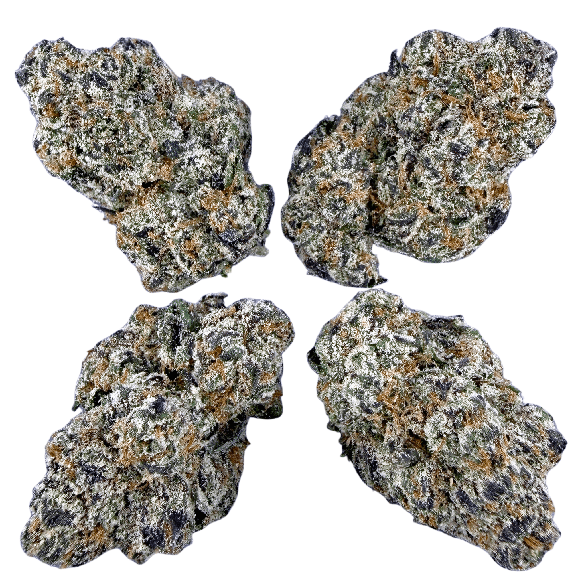 Exotic Zkittlez (Wholesale) - Valley Hemp