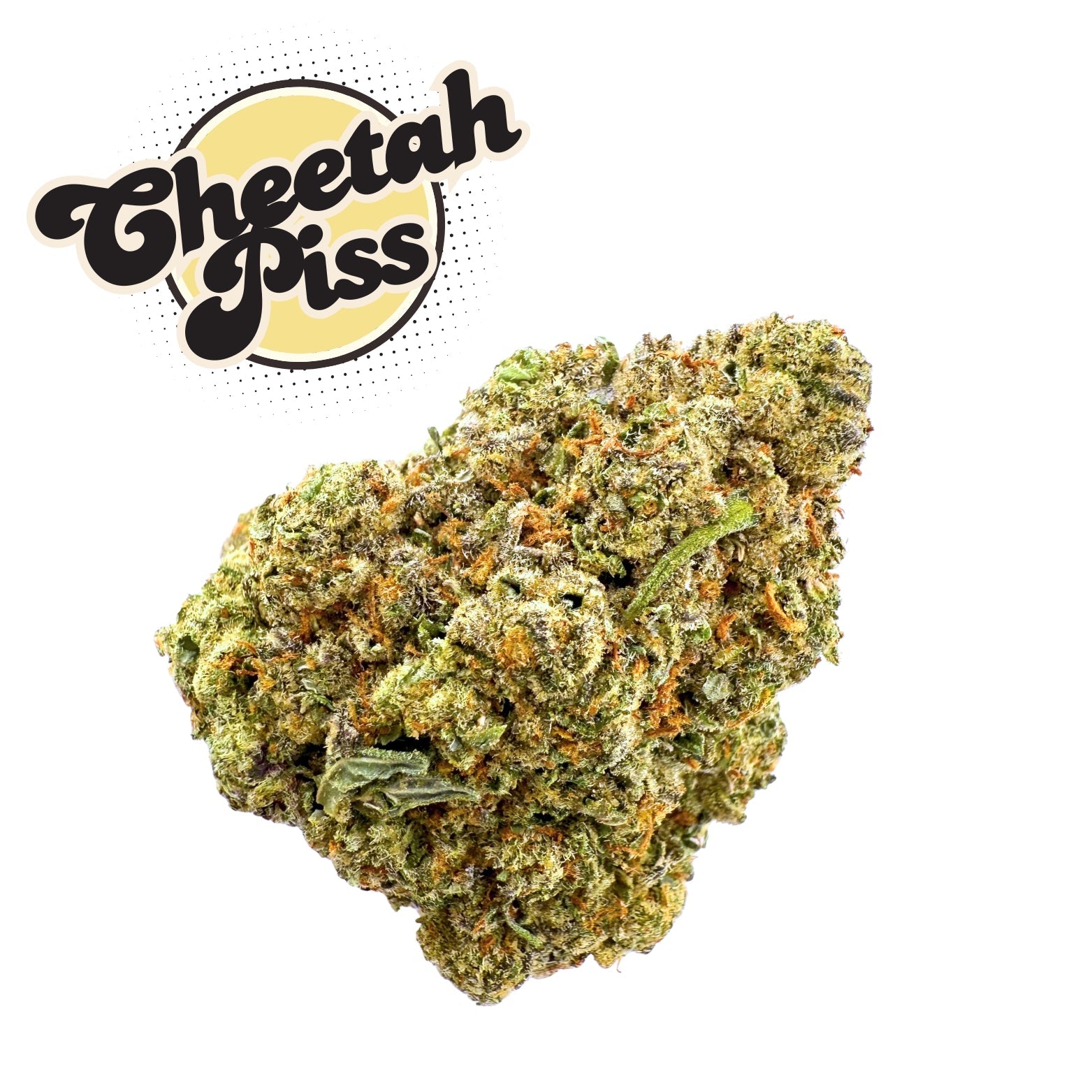 Focus Bundle - Valley Hemp